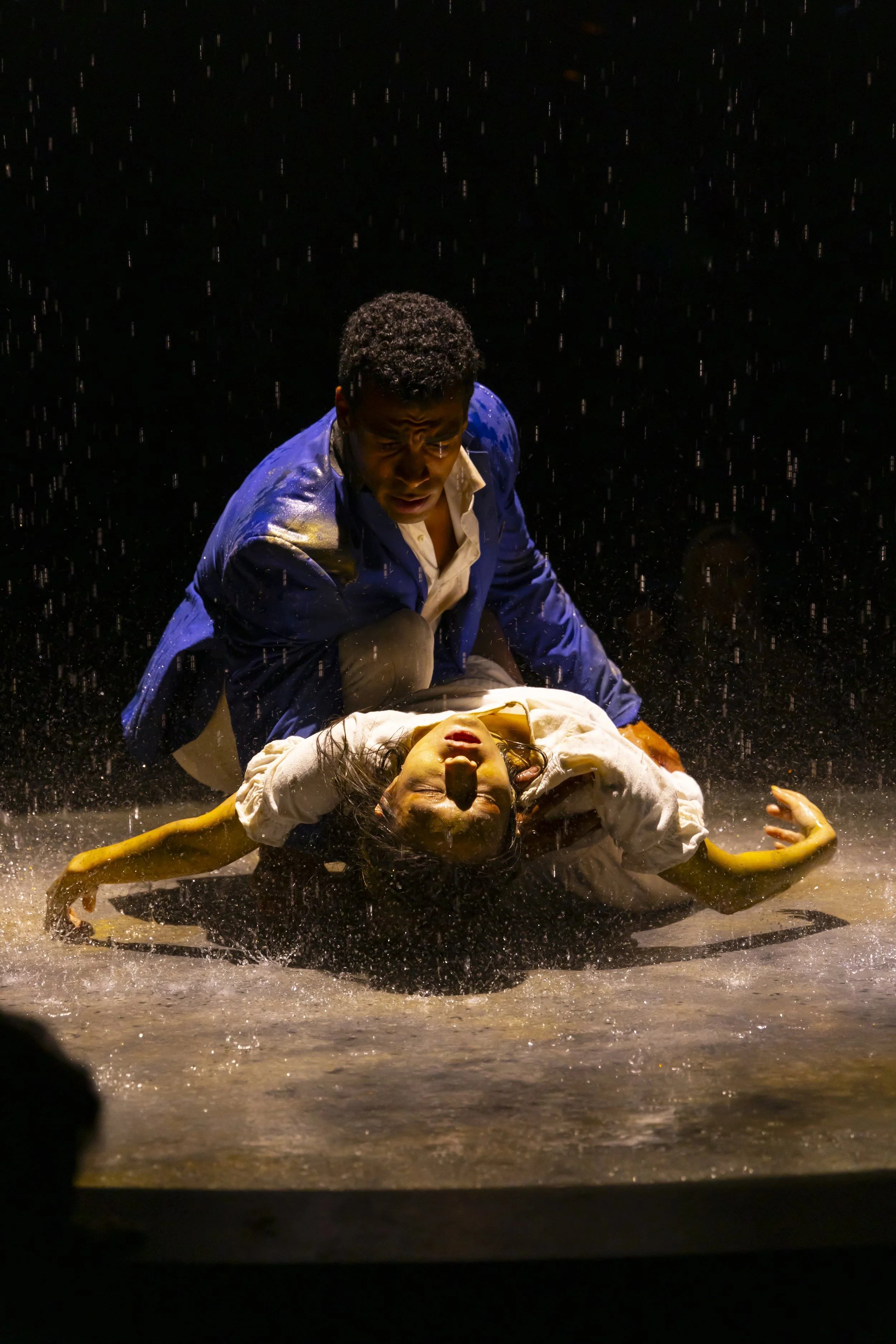 Metamorphoses DGSD 11-24_632.JPG