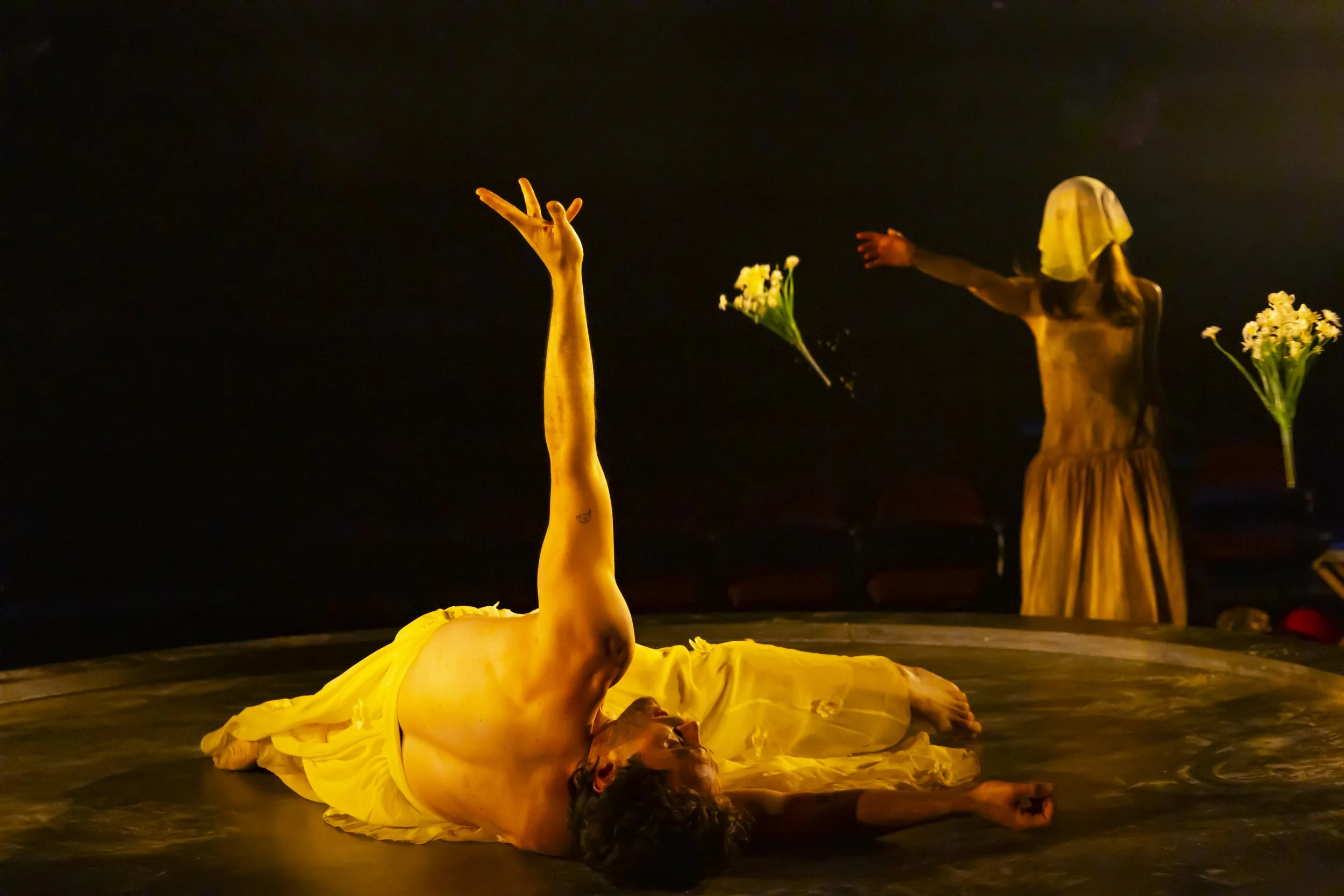 Metamorphoses DGSD 11-24_410.JPG