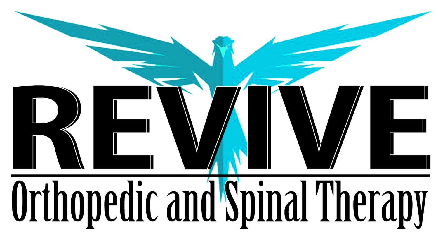 Revive Orthopedic and Spinal Therapy