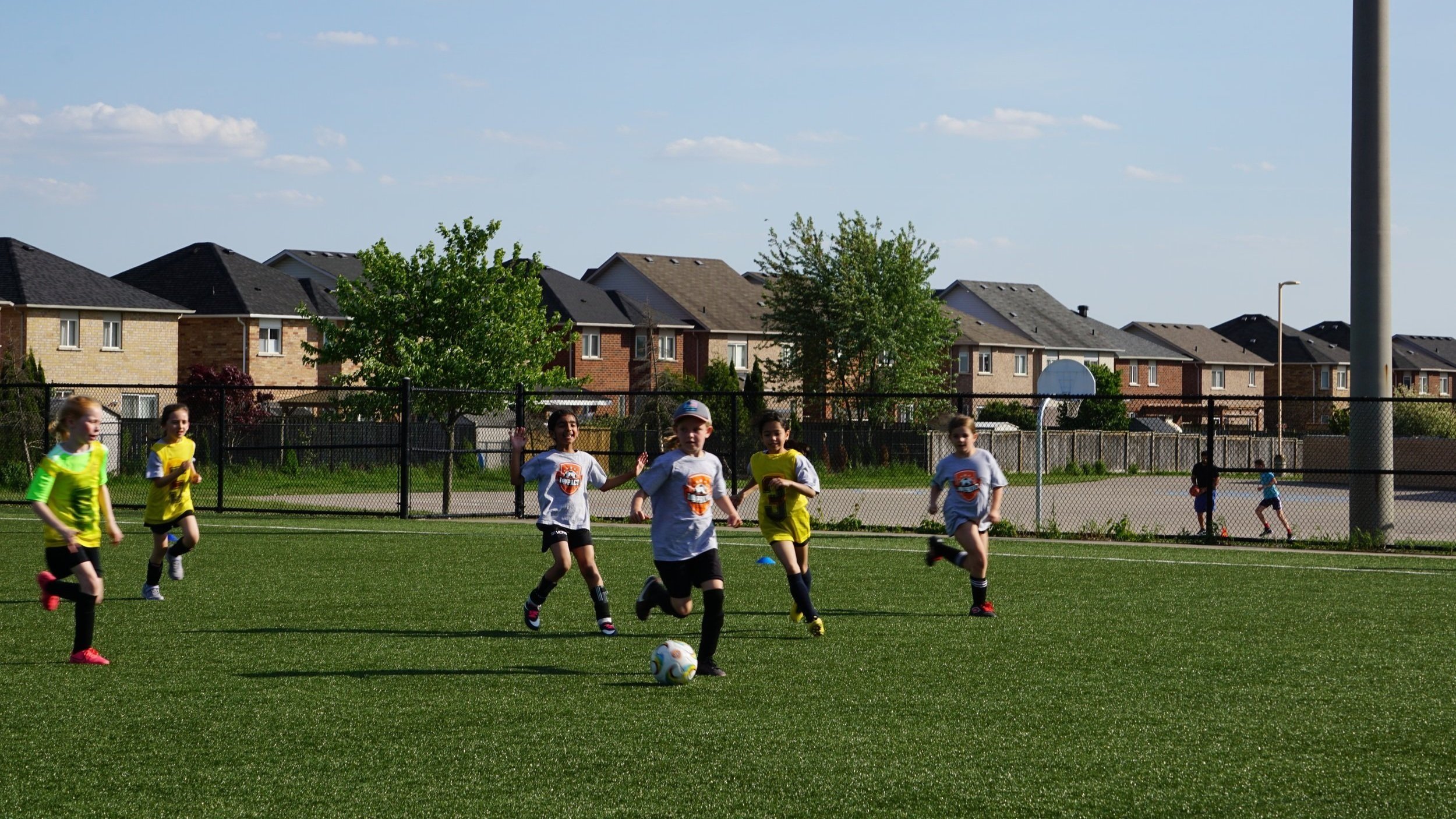 DSC02286.jpg