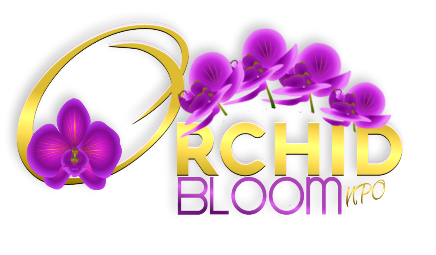 Orchid Bloom 2.0
