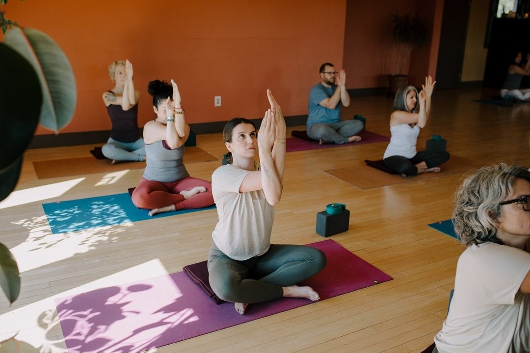 'Take Root' Yoga School at Yoga Refuge
200 hour training this fall through spring!

What does it mean to 'take root'?
🌱 begin to grow and draw nourishment from the soil through its roots
🌱 become fixed or established

Taking root is an active and c