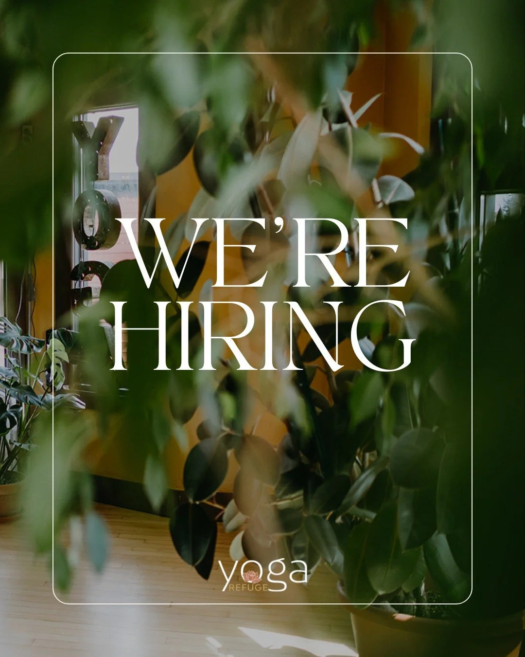 Exciting news! ✨

We're looking for experienced teachers to join the Yoga Refuge team. If you think you would be a good fit for our studio and would like to teach at our NW location, we'd love to hear from you! Please see the link in our profile to f