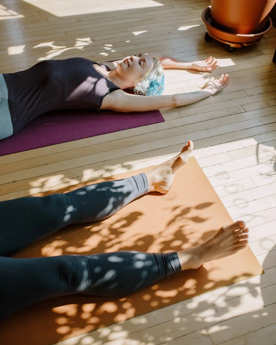 &quot;This very moment is the perfect teacher&ndash;and lucky for us it's with us wherever we are.&quot; 
&ndash;Pema Ch&ouml;dr&ouml;n

📸: @kelli.rad
#yoga #yogarefuge #yogarefugepdx #portlandyogastudio #pdxyogastudio #pdxyoga #montavilla #nwportla