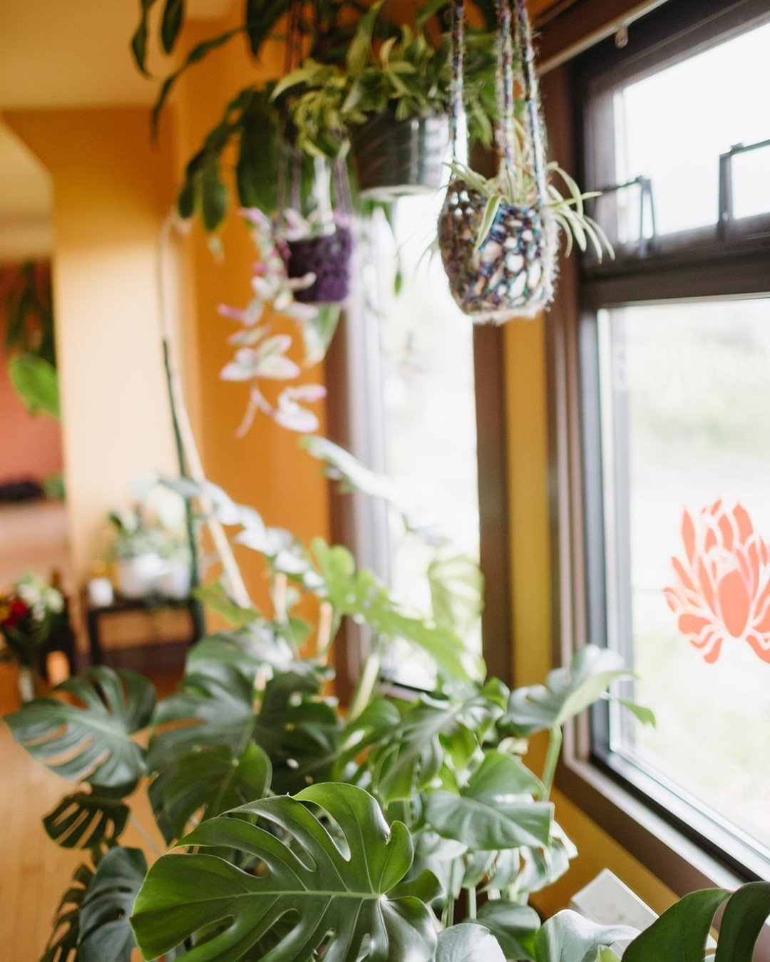 Friendly reminder to help keep our community healthy 💛

If you're feeling under the weather, please skip in-studio classes for now. Your care helps protect fellow students and our teachers, and we&rsquo;re so grateful for it! 🙏

Still wanting to mo