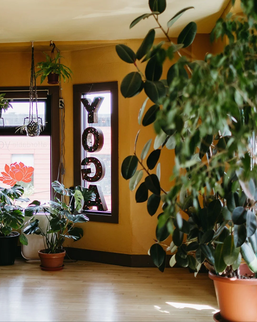 Hello community!

From July 17&ndash;19, we'll be welcoming Todd Jackson back to our SE studio for his biannual yoga immersion. Over the next few days, our schedule will look a little different&mdash;some daytime classes will be canceled, while other