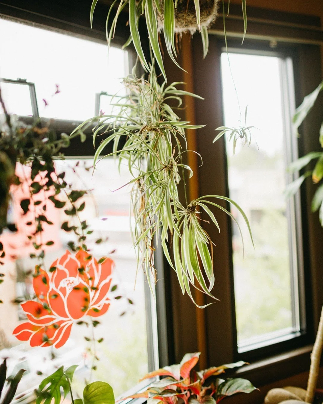 &ldquo;Without the steadiness of concentration, it is easy to get caught up in the feelings, perceptions, and thoughts as they arise. We take them to be self and get carried away by trains of association and reactivity.&rdquo; - Joseph Goldstein 

Jo