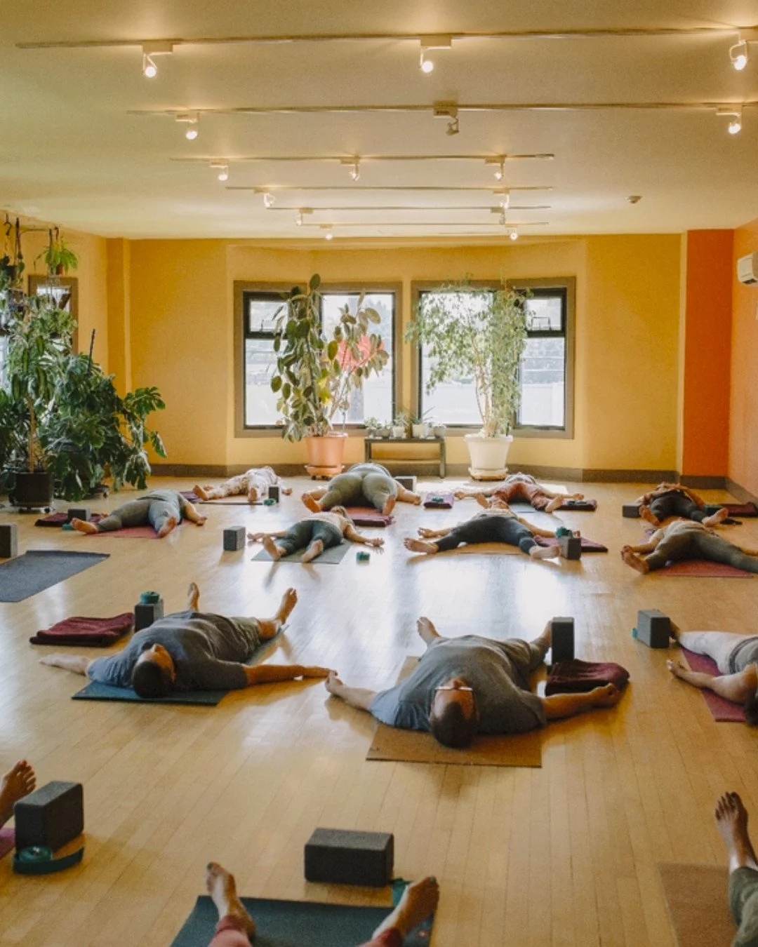 There is something powerful about moving, breathing, and growing alongside others. A yoga studio isn't just a place to practice poses, it's a place to be witnessed, supported, and reminded that you belong.

Whether you're brand new to yoga or returni