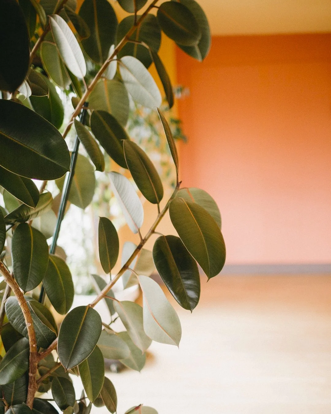 Growth doesn't always happen where everyone can see it 🌿

Just like a thriving garden, our practice is built through consistency &mdash; not perfection. Yoga reminds us that growth isn't about rushing to bloom, but about creating the conditions that
