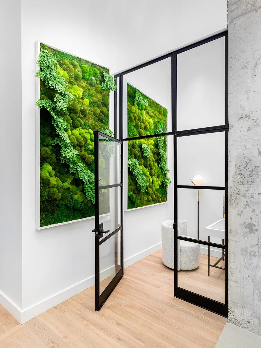 Prop Architecture / Bitehaus Dental Hillsdale