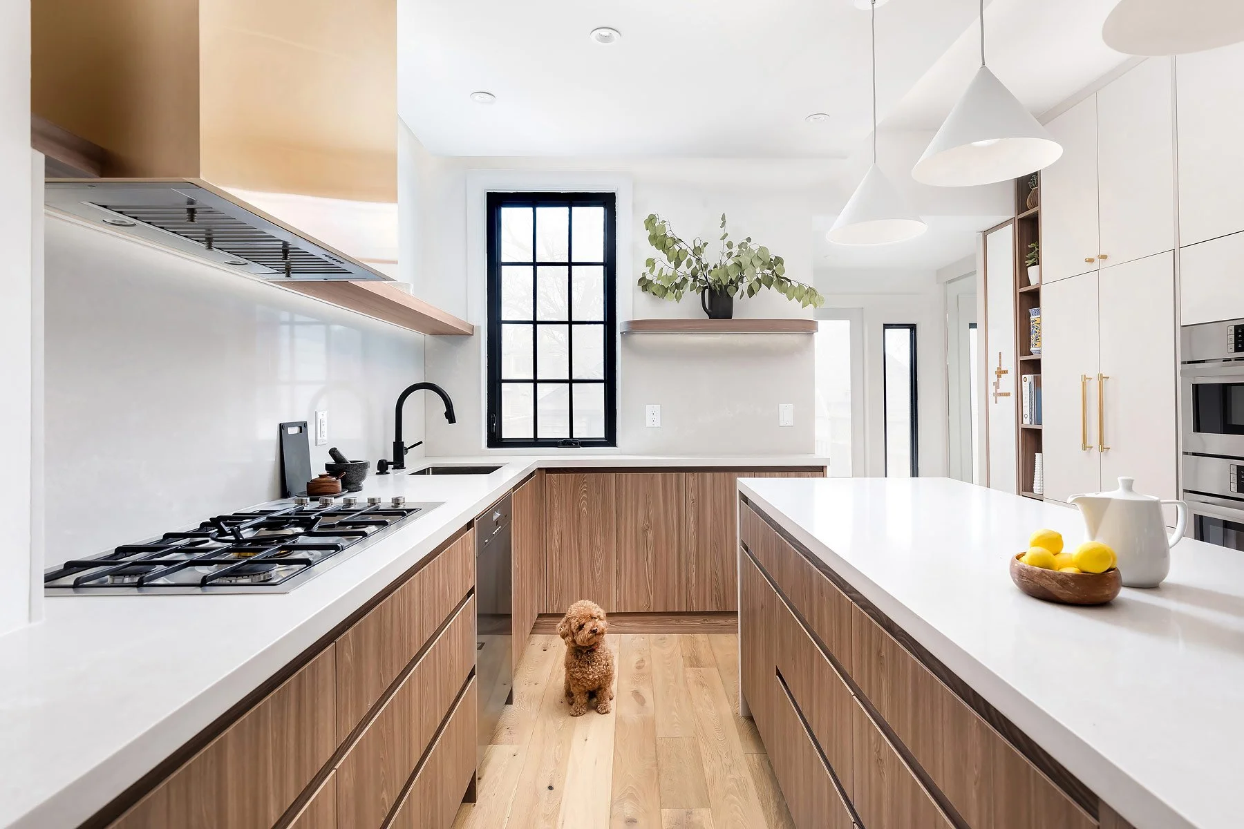 Modern kitchen with wooden cabinets, white countertops, and a small dog sitting on a wooden floor.