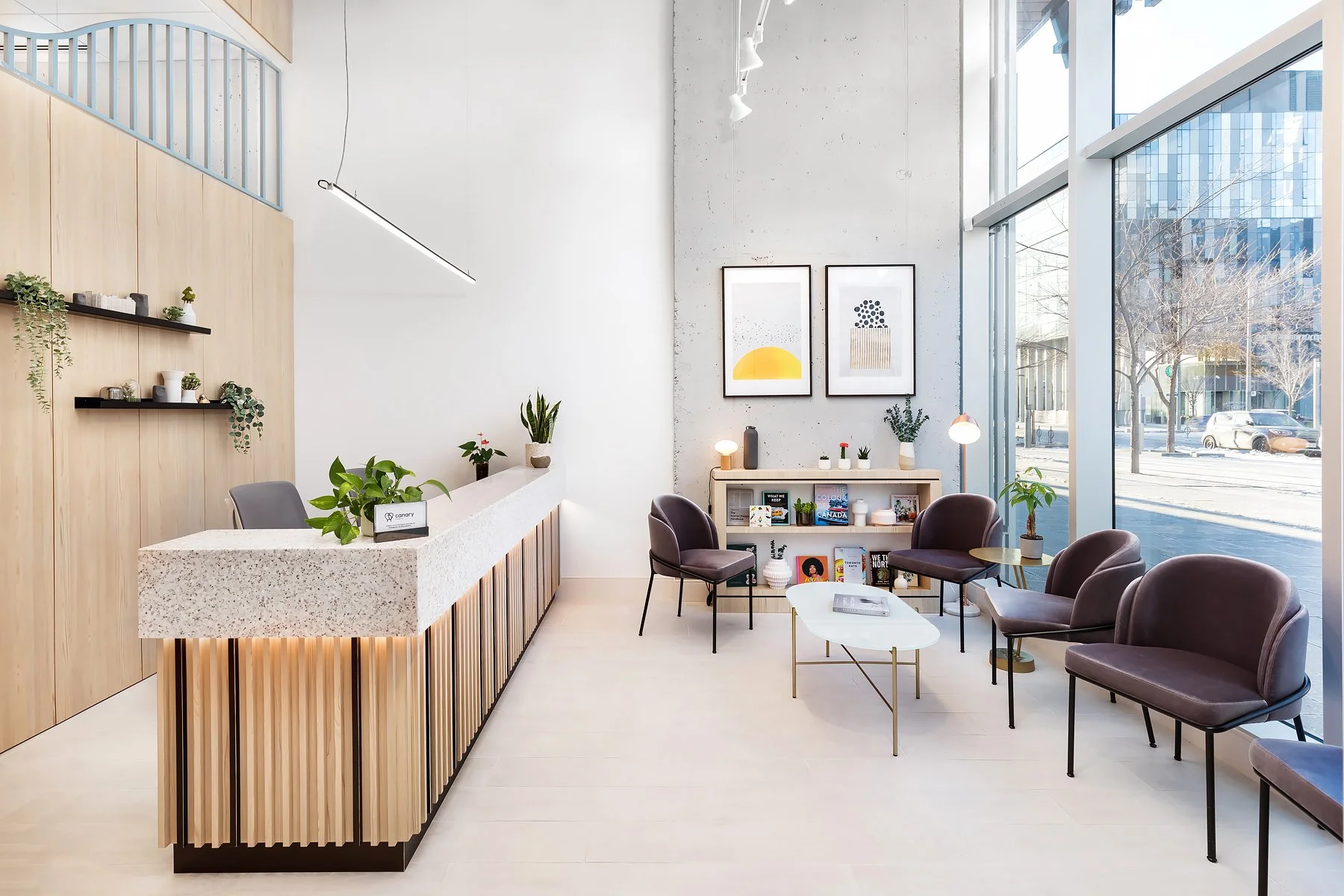 Canary Dental - Dental Reception Design