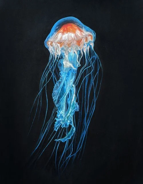 Jellyfish+copy.jpg