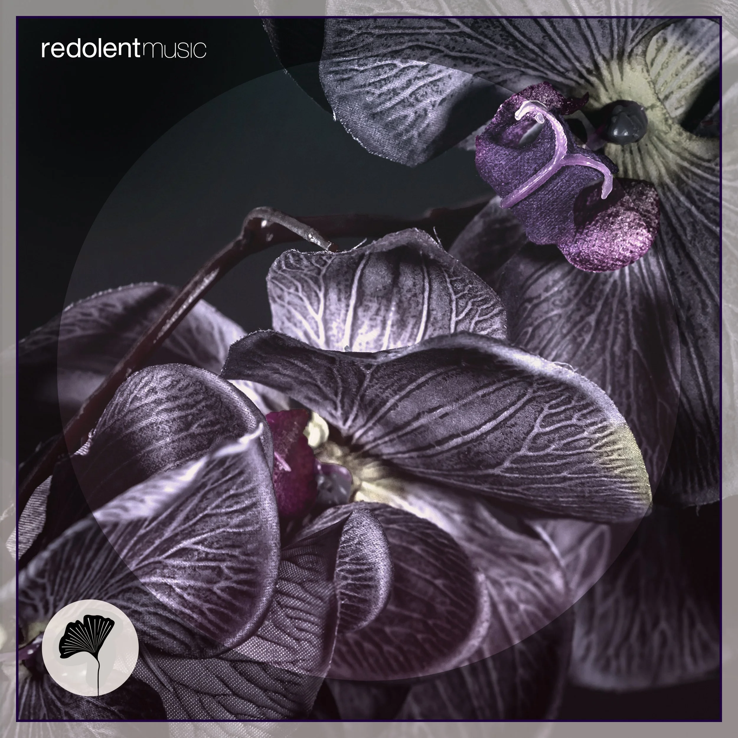 RDT091 COVER 3000X3000 HD.jpg