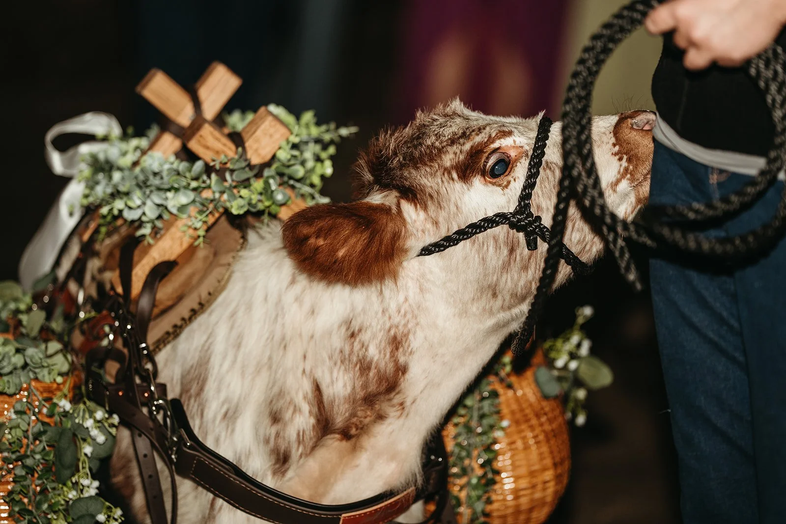 Aaron+Chloe-Wedding-1358.jpg
