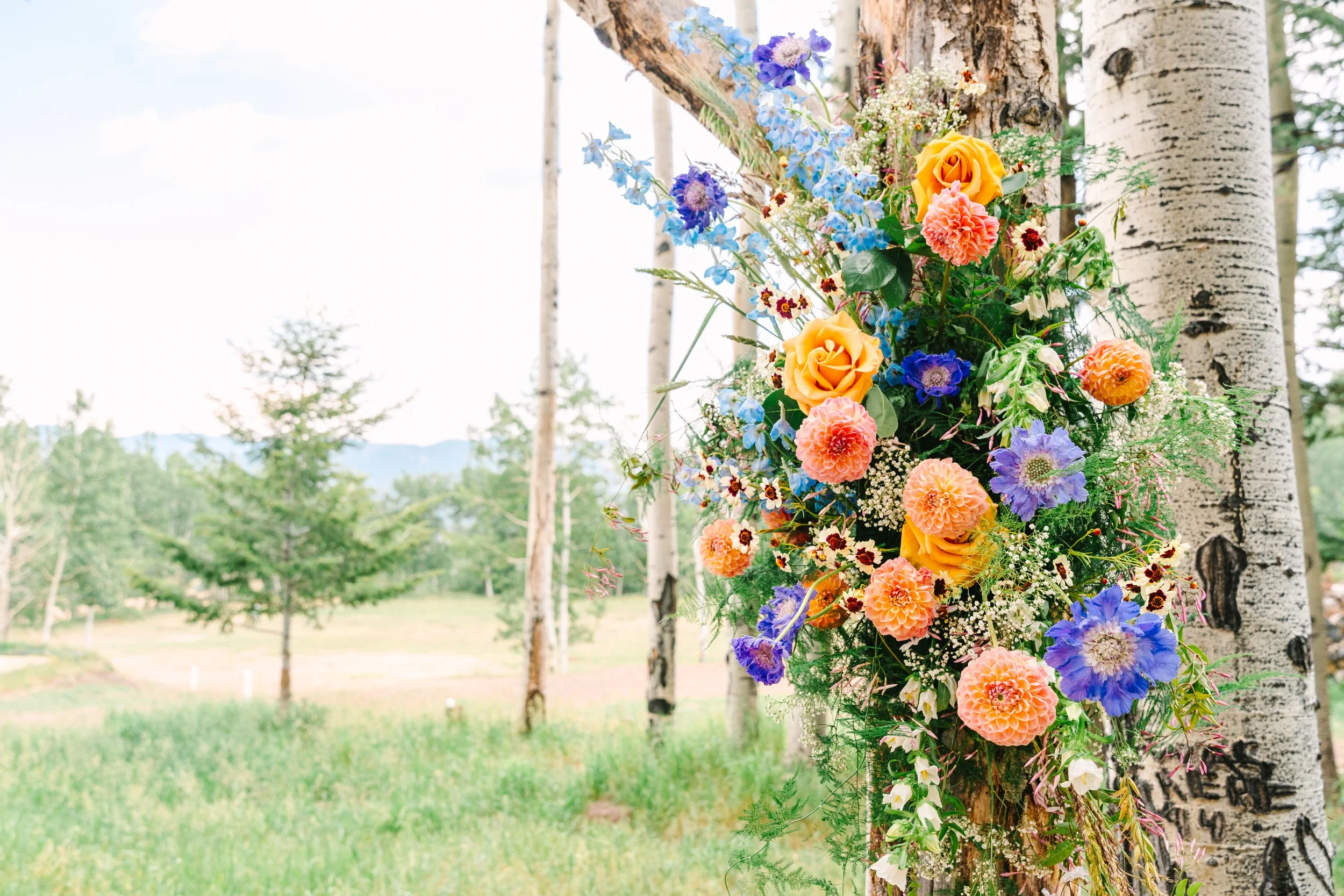 Mimi+NikhilWedding-DeerCreekMountainCamp-169.jpg