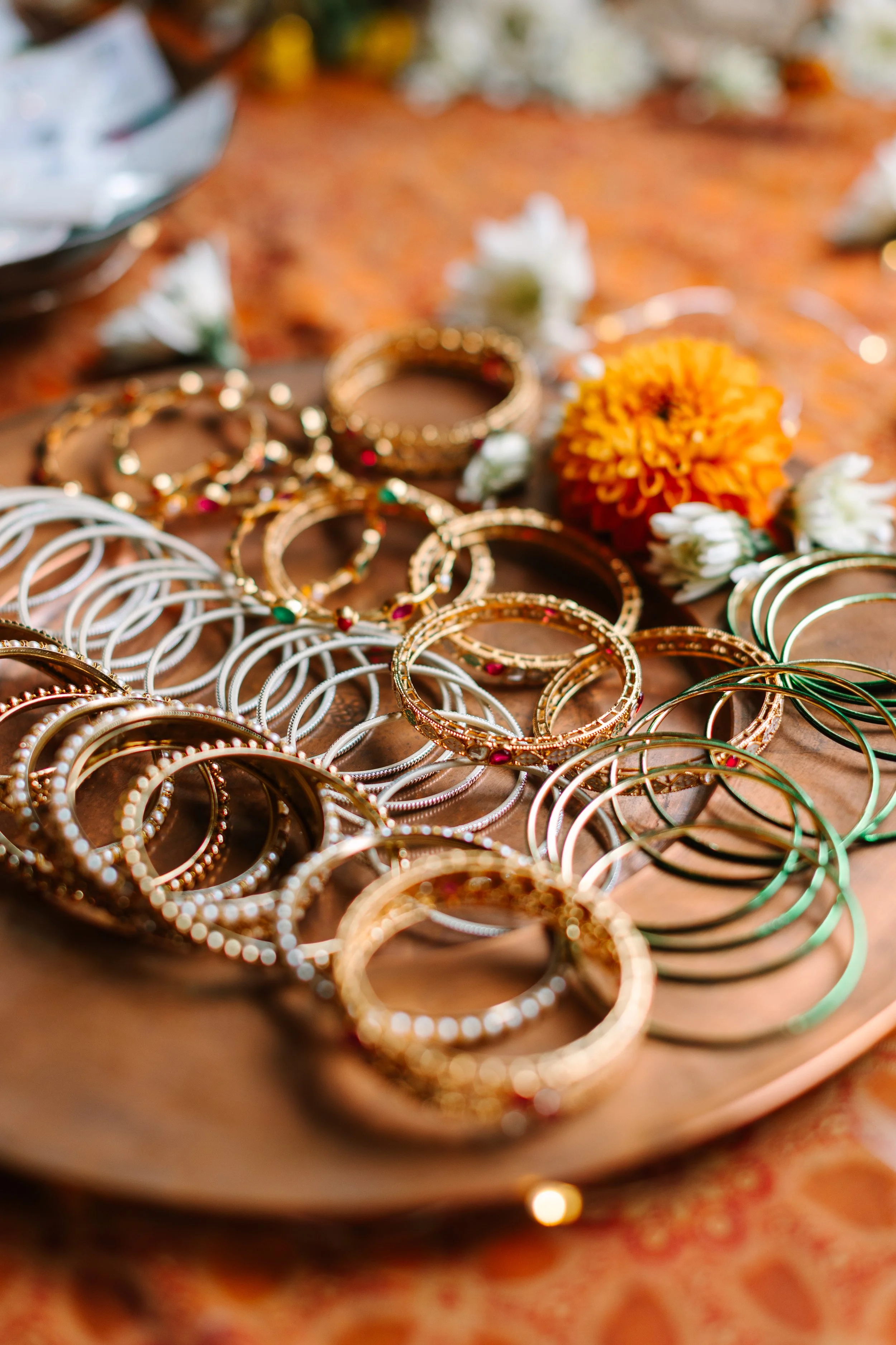 Mimi+NikhilWelcomeParty-DeerCreekMountainCamp-4.jpg