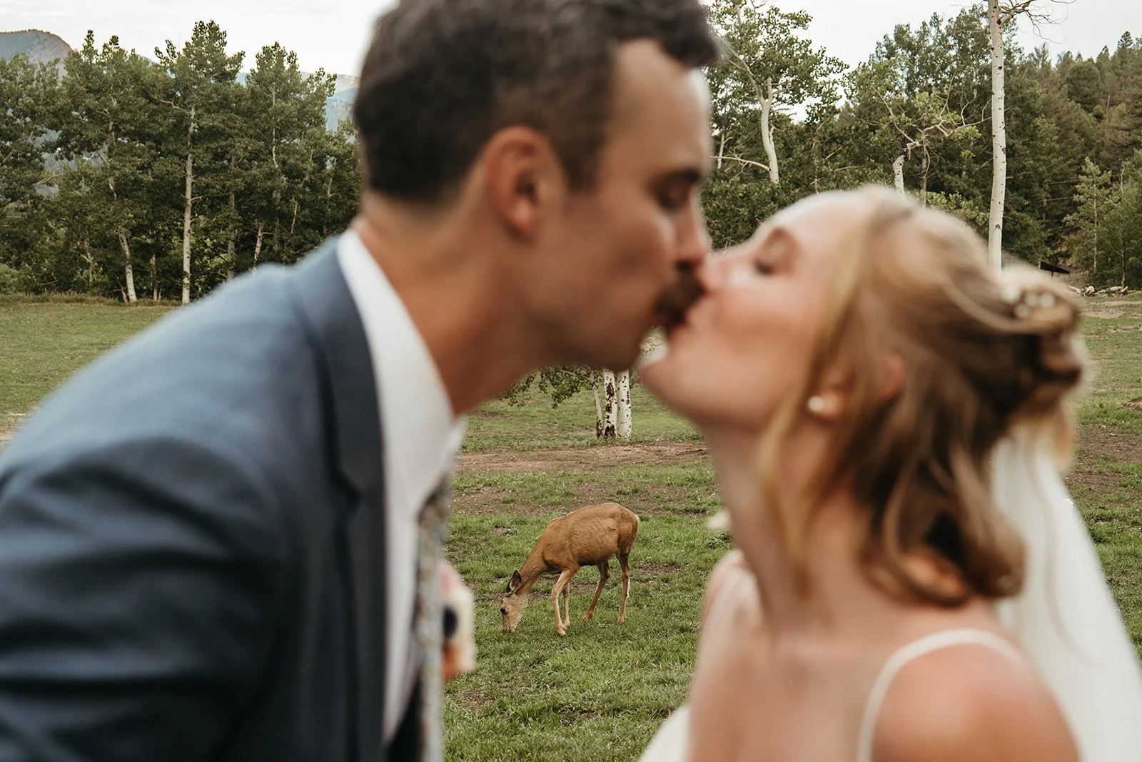 Aaron+Chloe-Wedding-1087.jpg