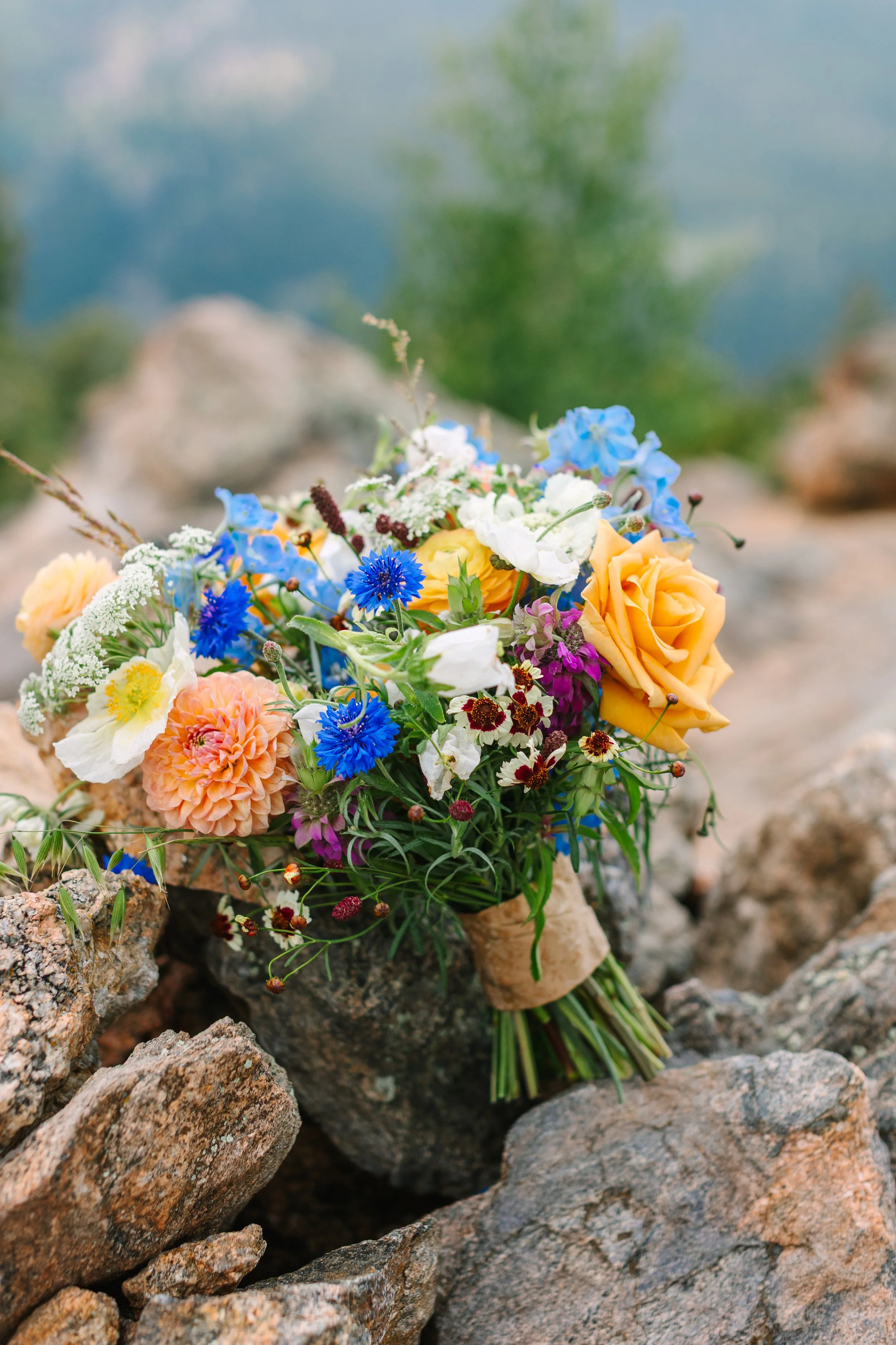 Mimi+NikhilWedding-DeerCreekMountainCamp-167.jpg