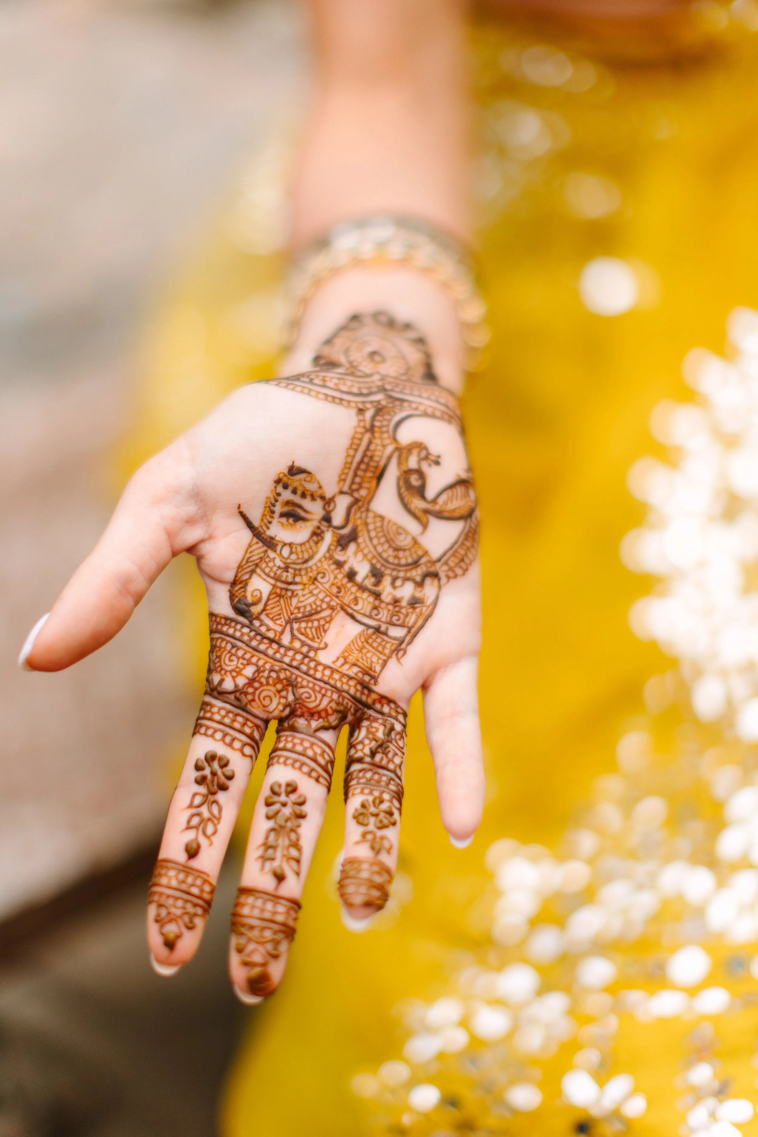 Mimi+NikhilWelcomeParty-DeerCreekMountainCamp-305.jpg