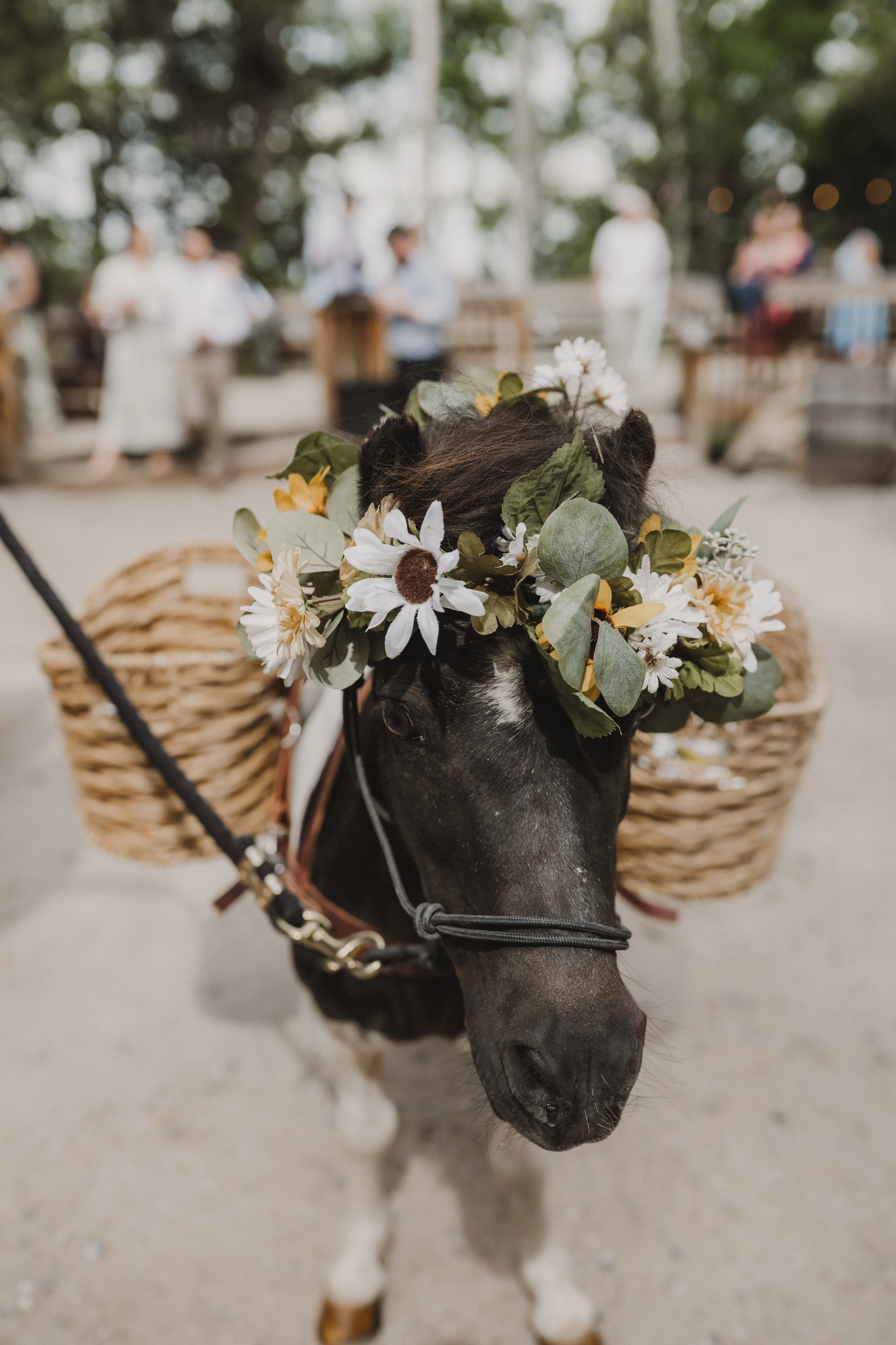 2025-6-14 - Sam & Jay Wedding-426.jpg