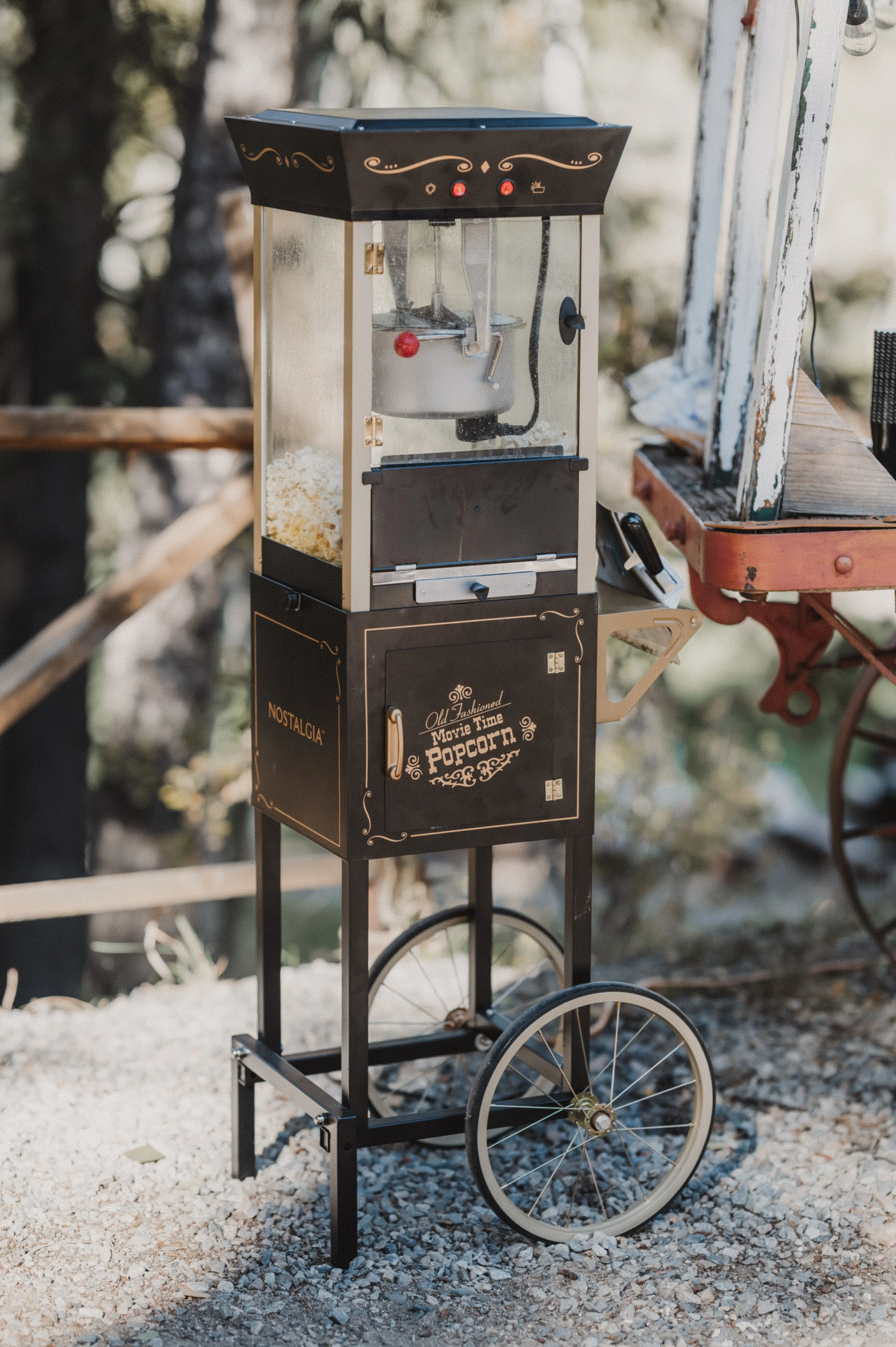 2024-10-2 - Haley & Michael Wedding-428.jpg