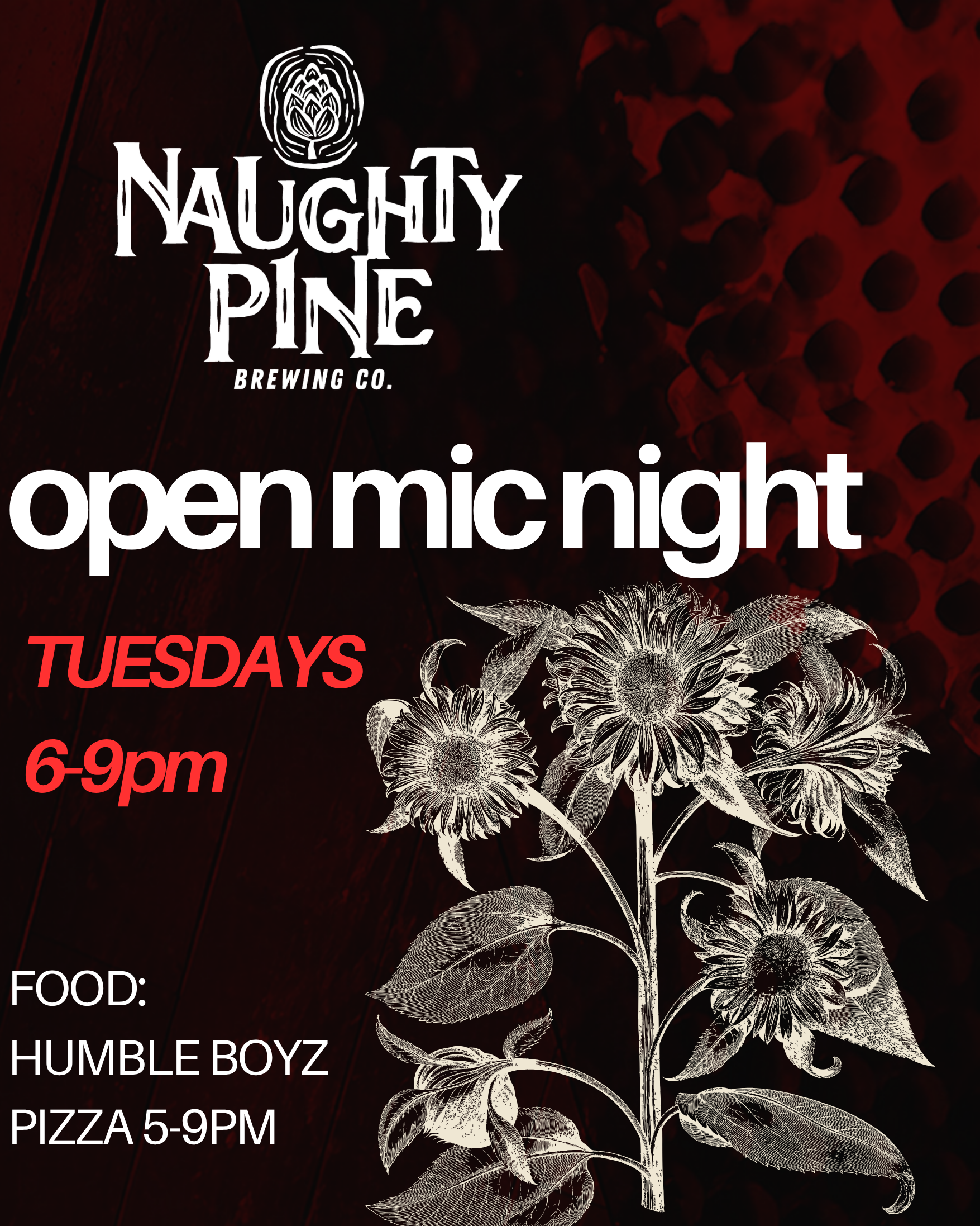 OPEN MIC NIGHT