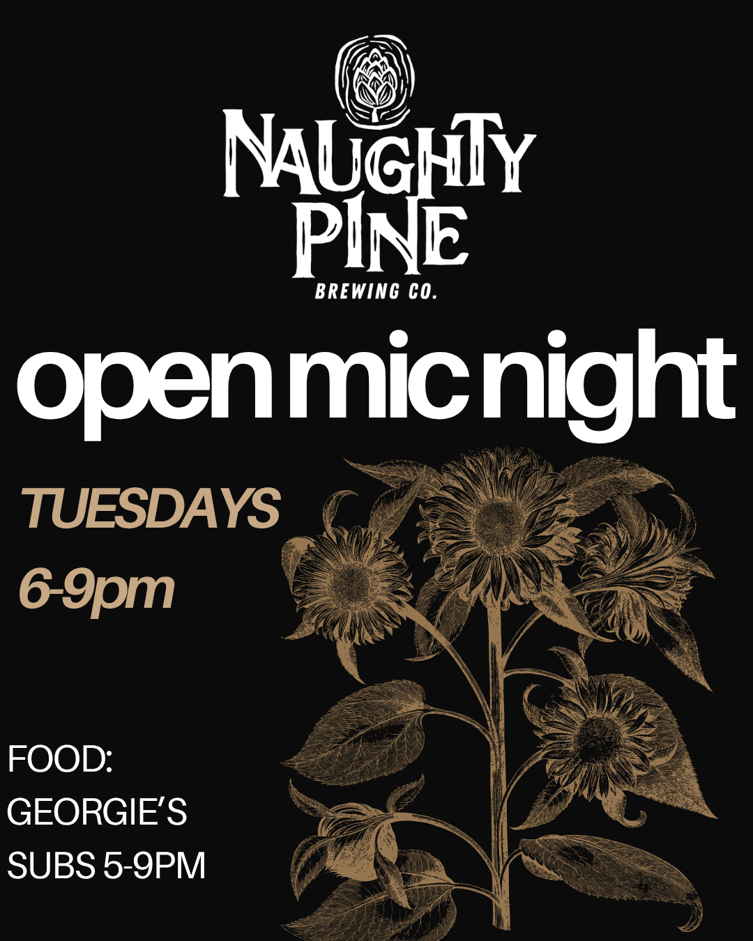 OPEN MIC NIGHT