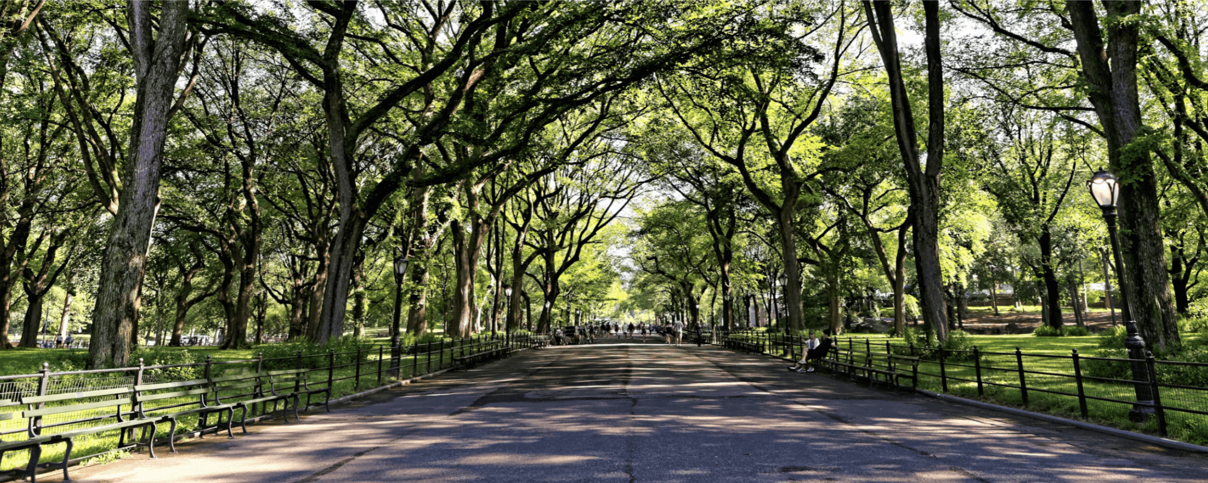 central park sound bath