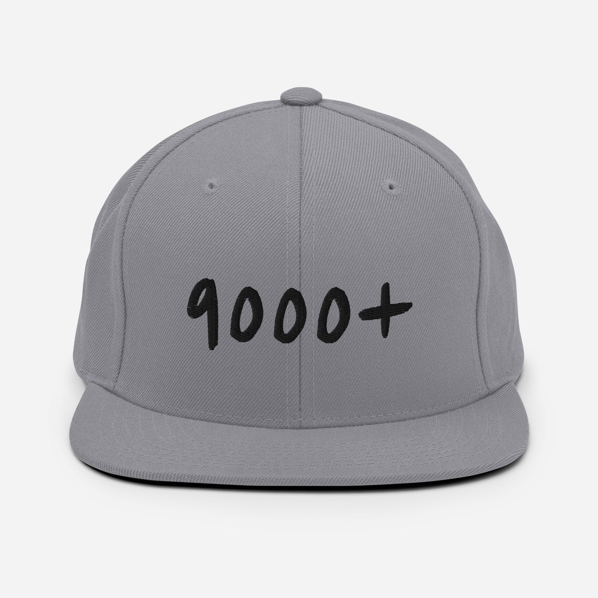 classic-snapback-silver-front-64ddb1bfe41b0.jpg