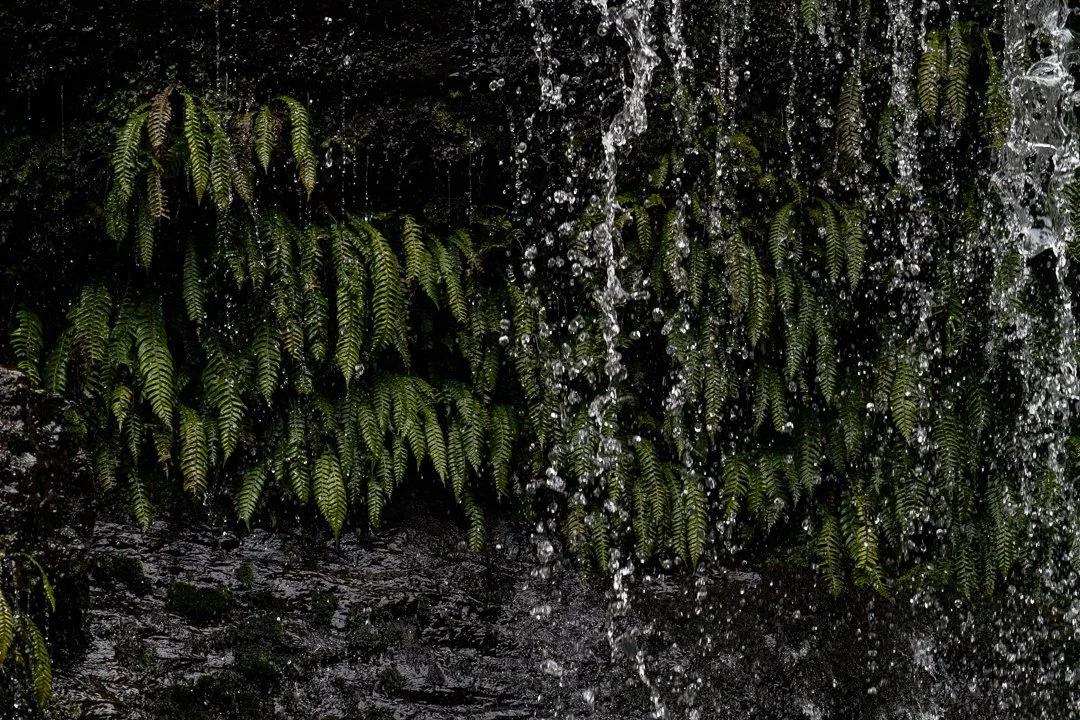 Waterfalls_MFNP-8.jpg