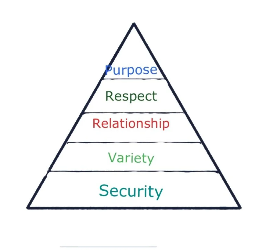 Blog 2 — Tucamino Coaching