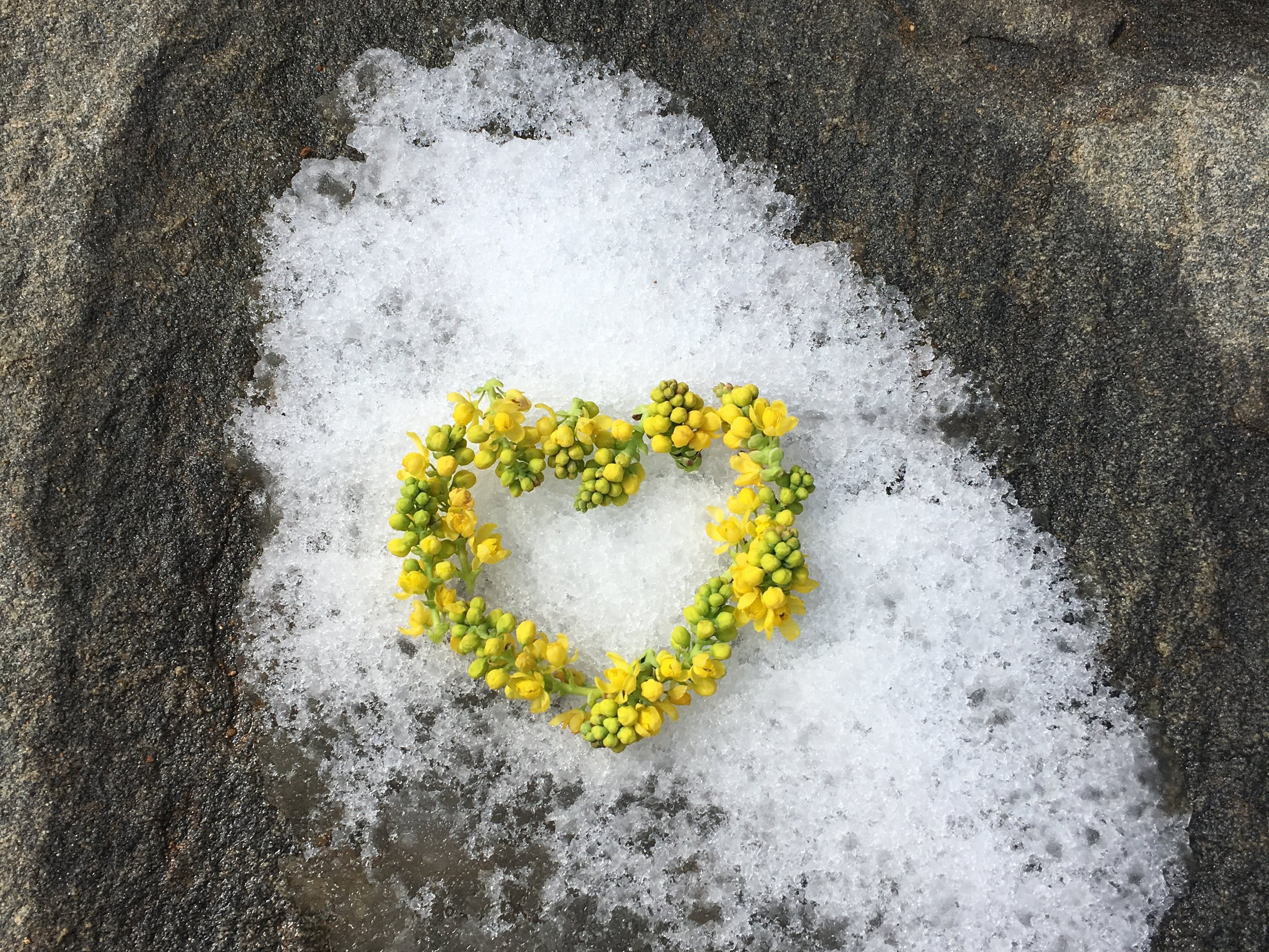 Image of trail art created on the Windy Saddle Trail in Colorado.