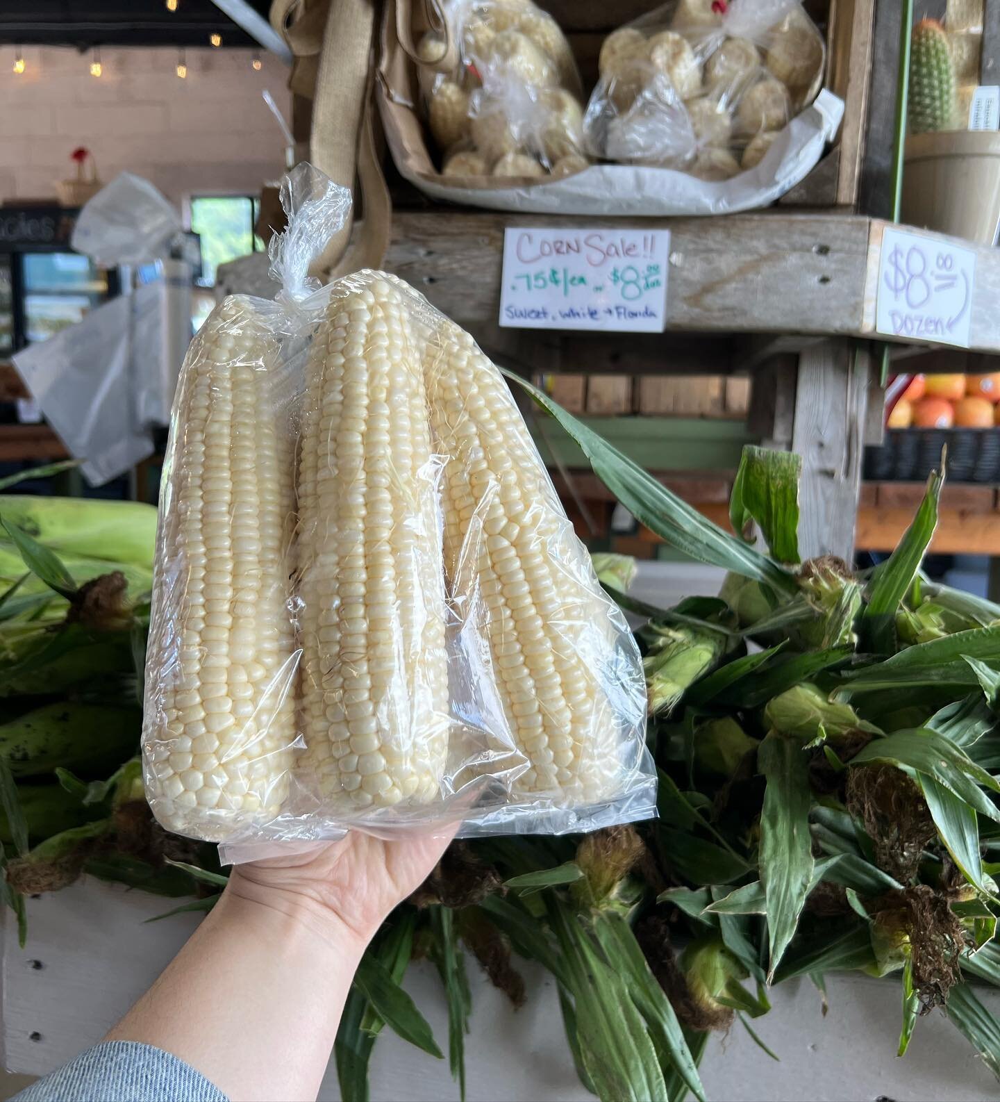 Sun&rsquo;s OUT and produce is POPPING! 🤩☀️

Freshly shucked sweet, white corn is $4.99/6pk or 2/$6! Yes!! Get a dozen for $6! 🌽 

You may not be ready for the season, but the produce is ready! 😍 Sugar baby watermelons, cantaloupes and seedless wa