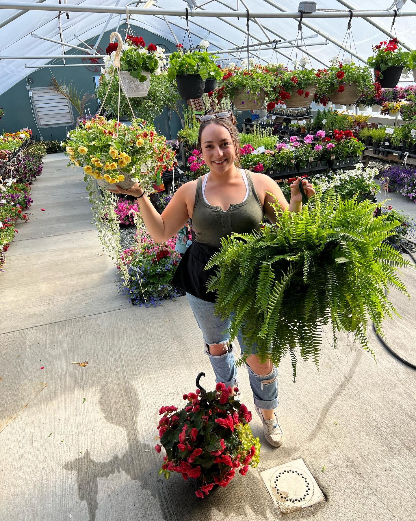 Time to show your momma how much you love her!! 🌸 

We got a HUGE delivery of hanging baskets, tomato hangers, ferns and more! 😍🤩

You don&rsquo;t want to miss it!! #freshstartfg #mothersday