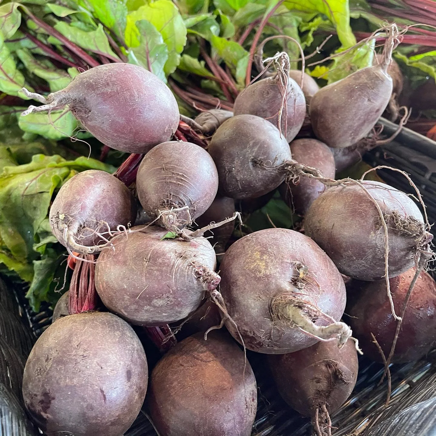 Local Red Beets