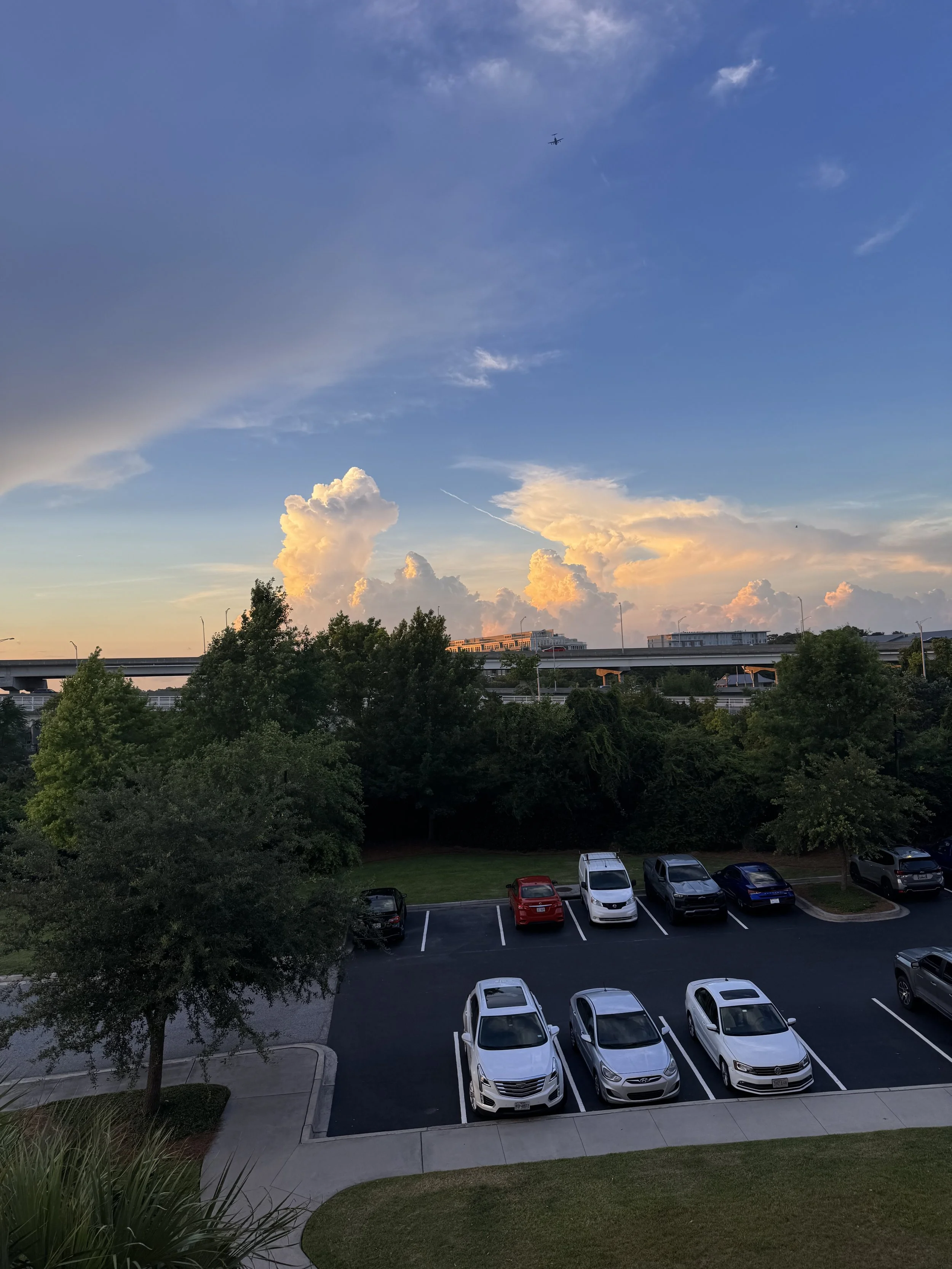 IMG_4336.jpeg