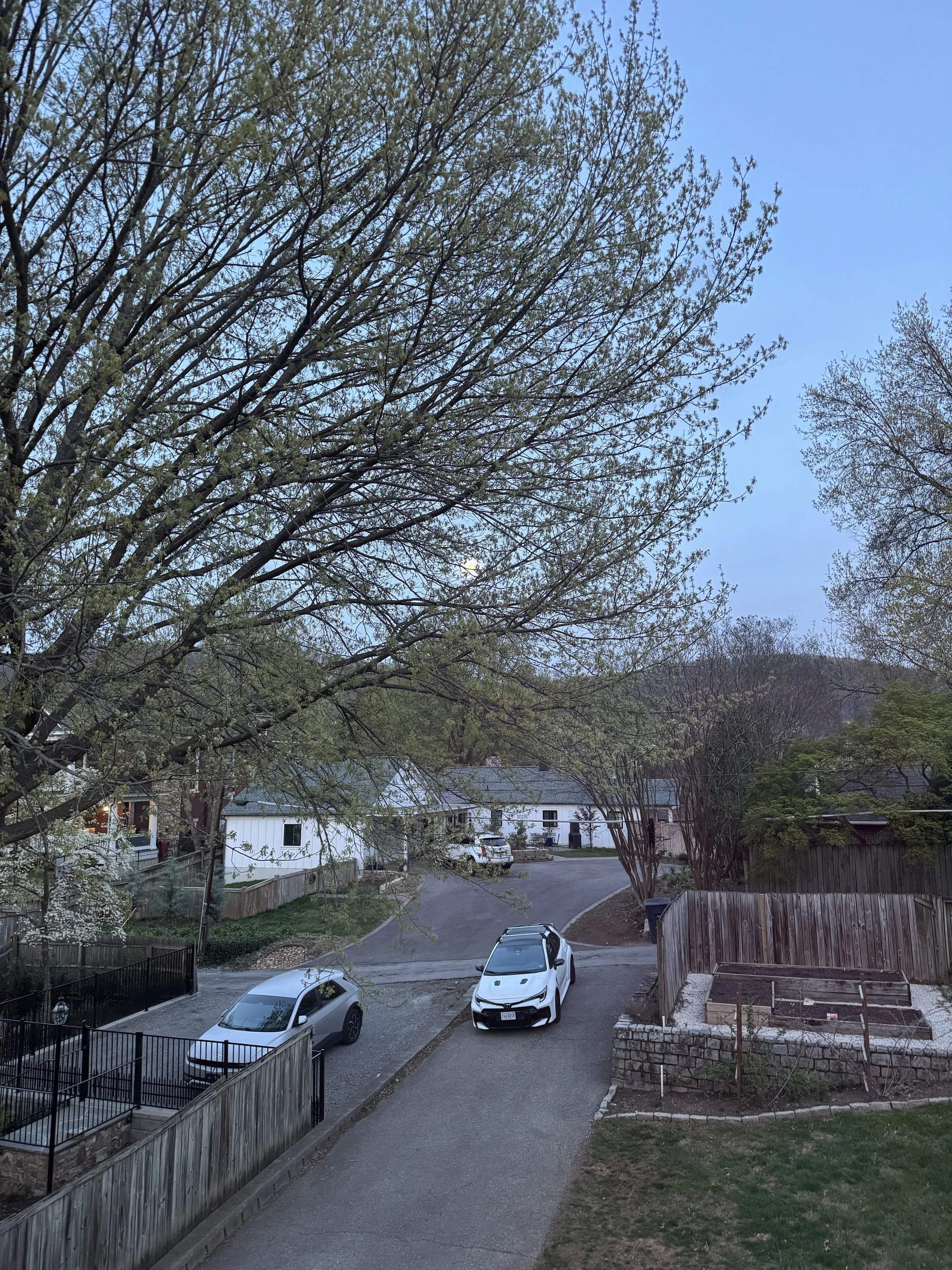 IMG_8066.jpeg