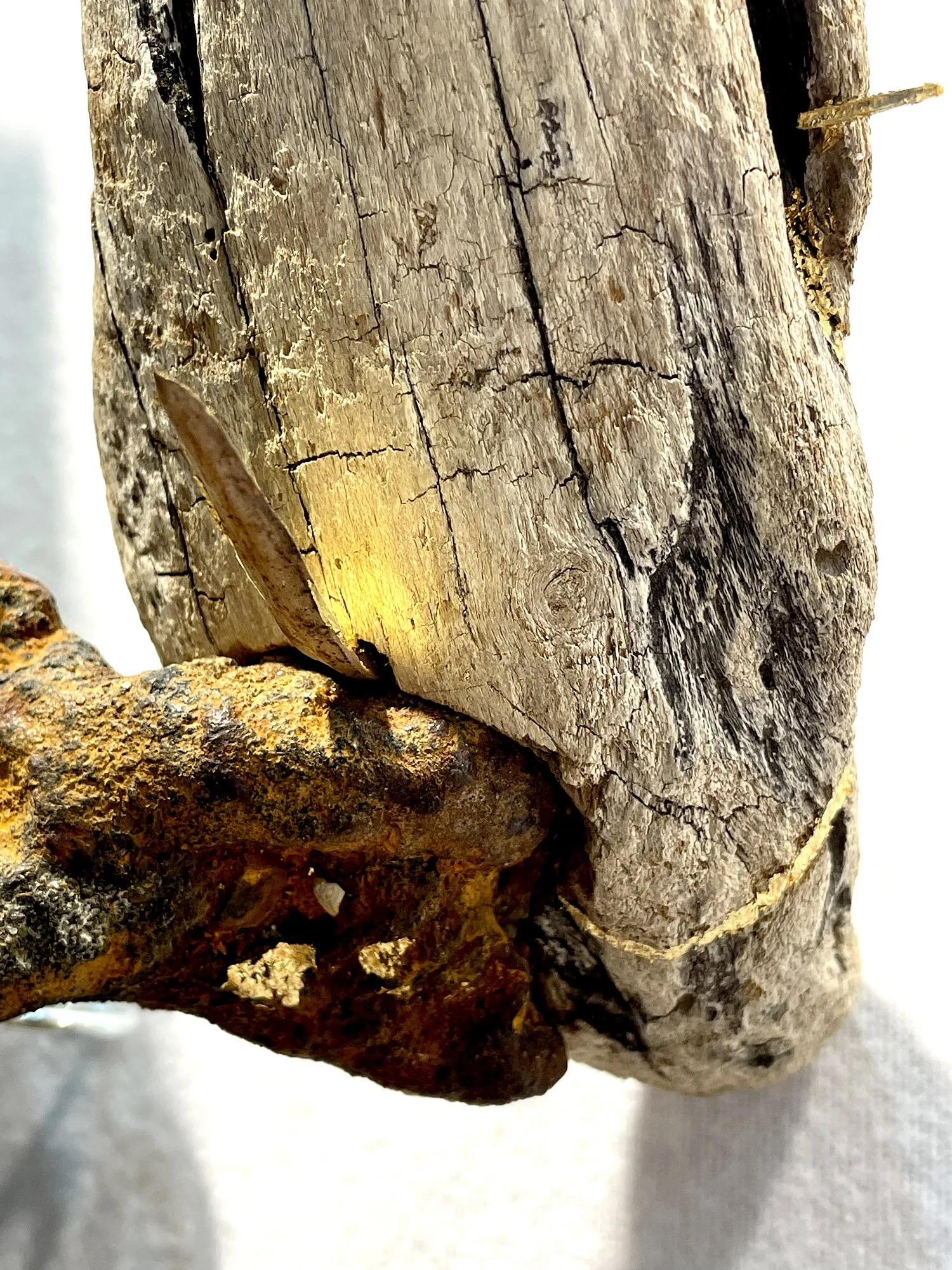 triste_amalgame-Creatuquoise_or_bois_métal_récup_amalgame.jpg