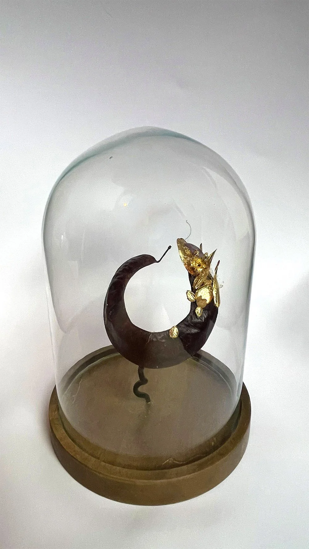 Croissant
2026
(févier, tulipier, corail, charme, hortensia, or - 16 x 23 cm)