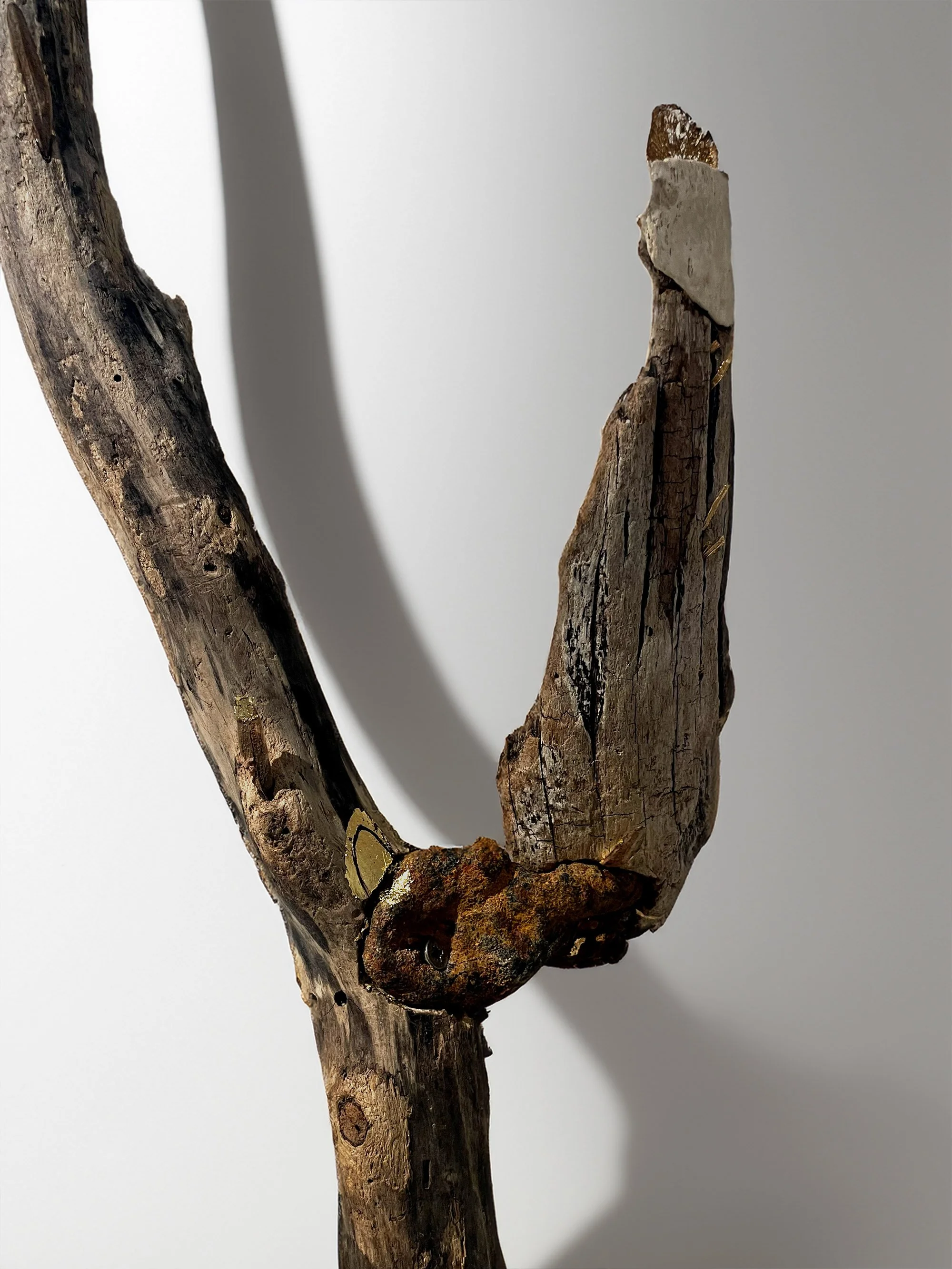 Fragments et déchets