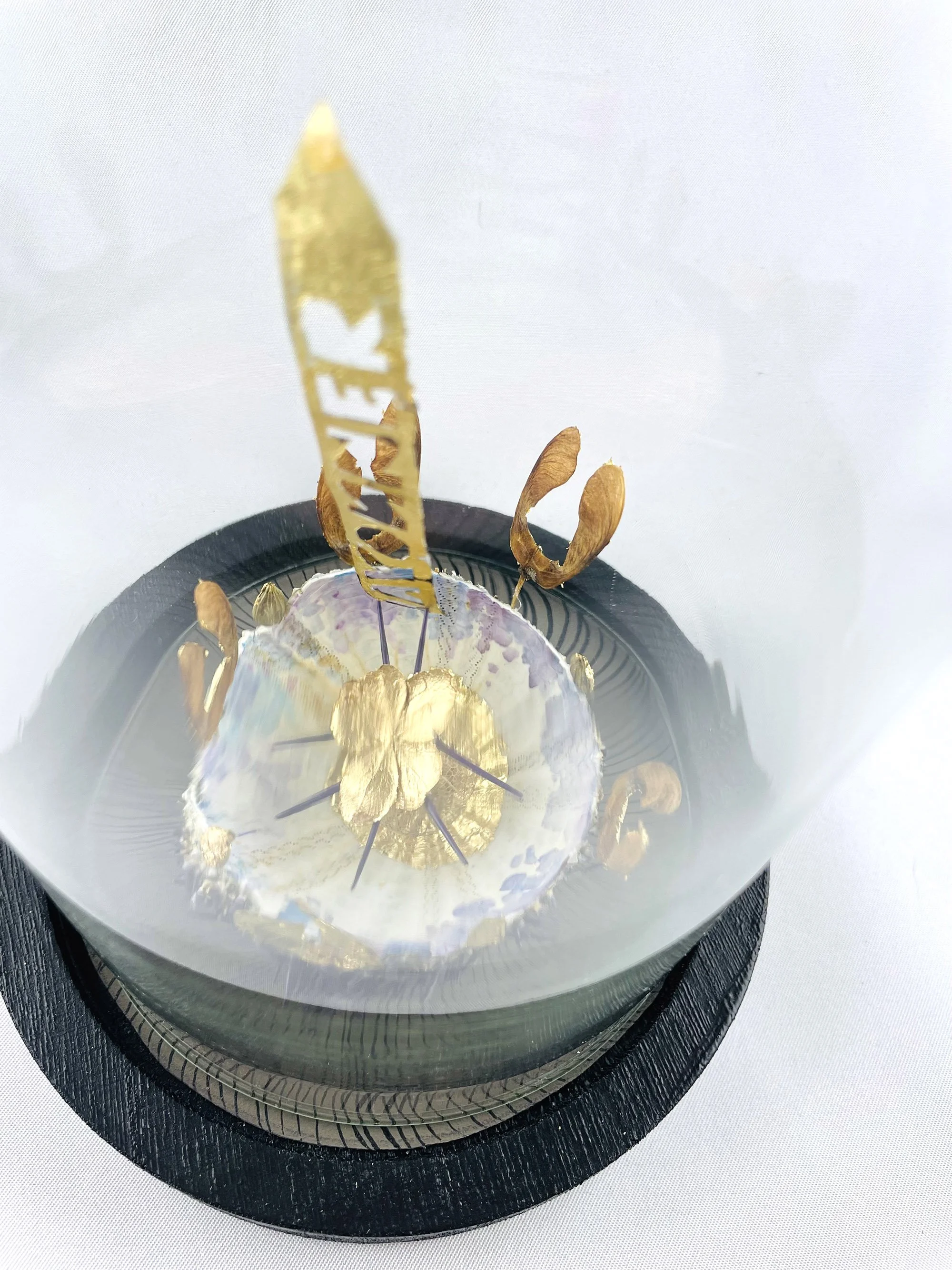 creaturquoise-or-art-brut-vegetal-oursin-lumiere-samares-cloche.jpg