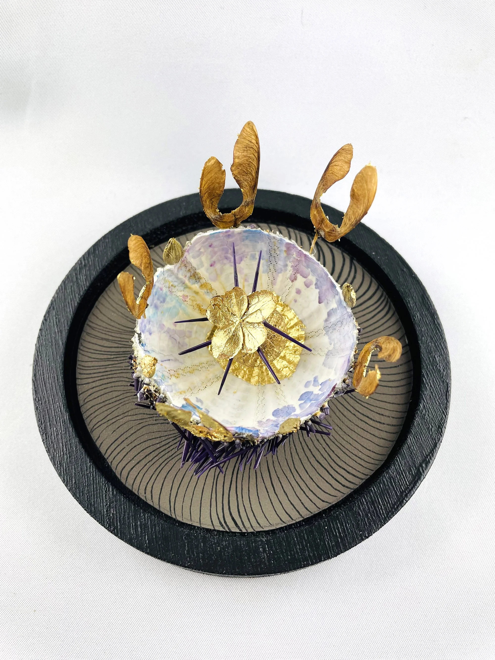 creaturquoise-or-art-brut-vegetal-oursin-lumiere-samares-physalis.jpg
