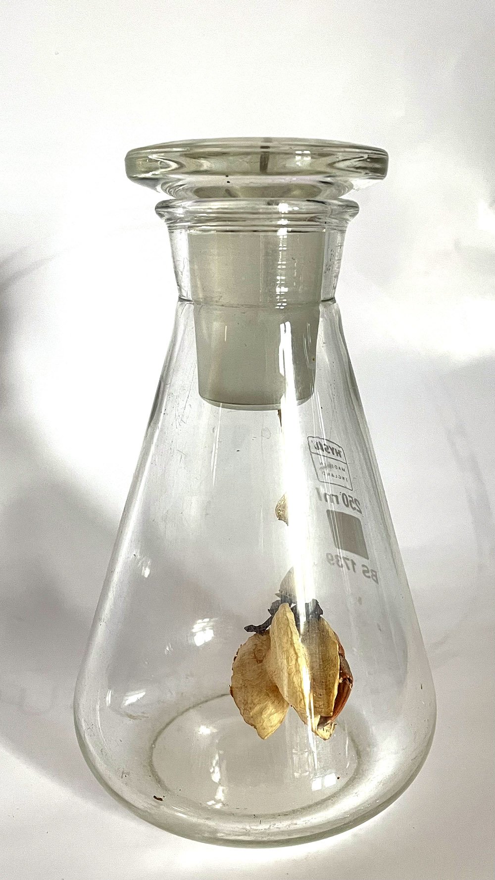 250 ml