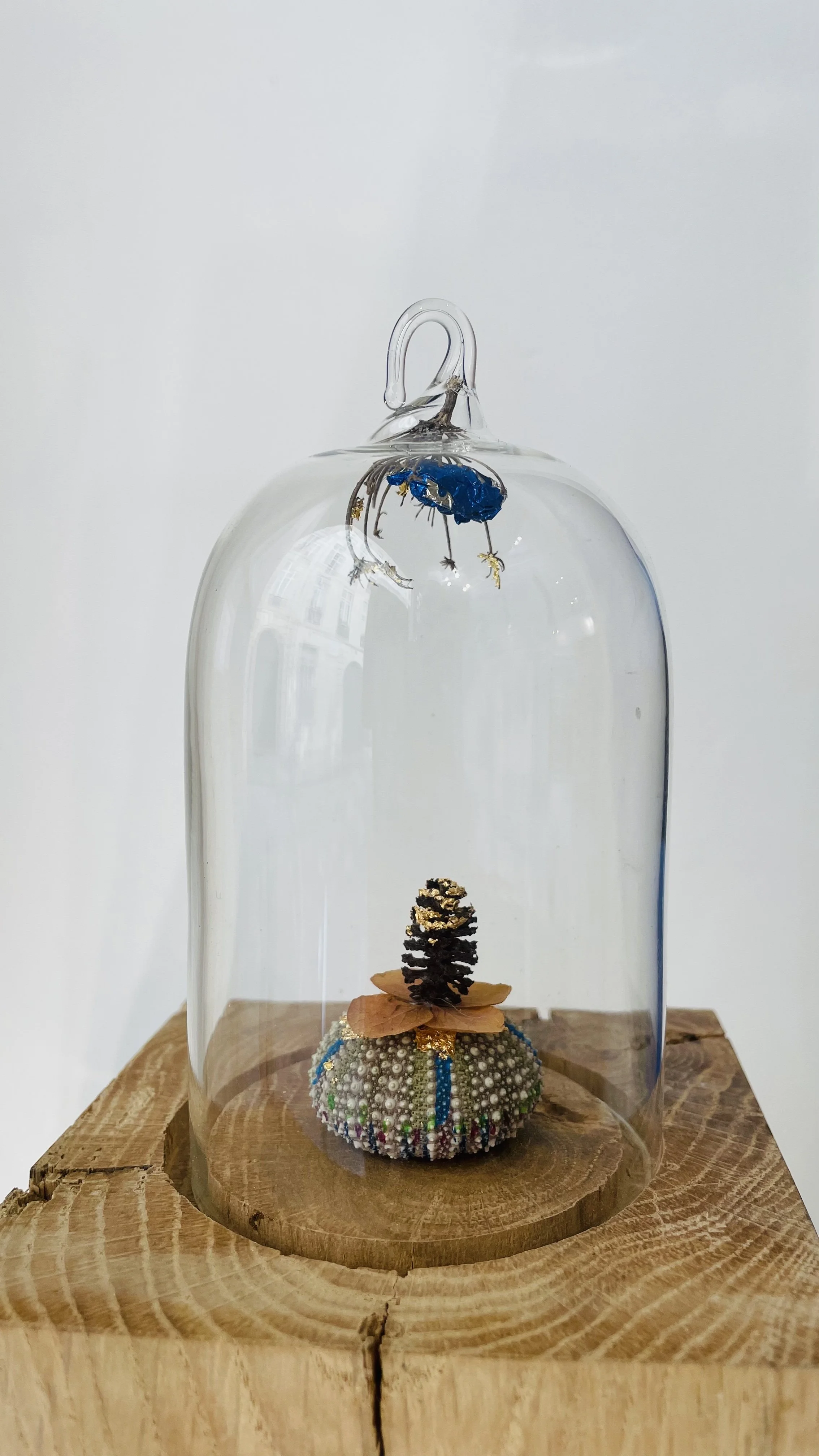 Oursin fleuri