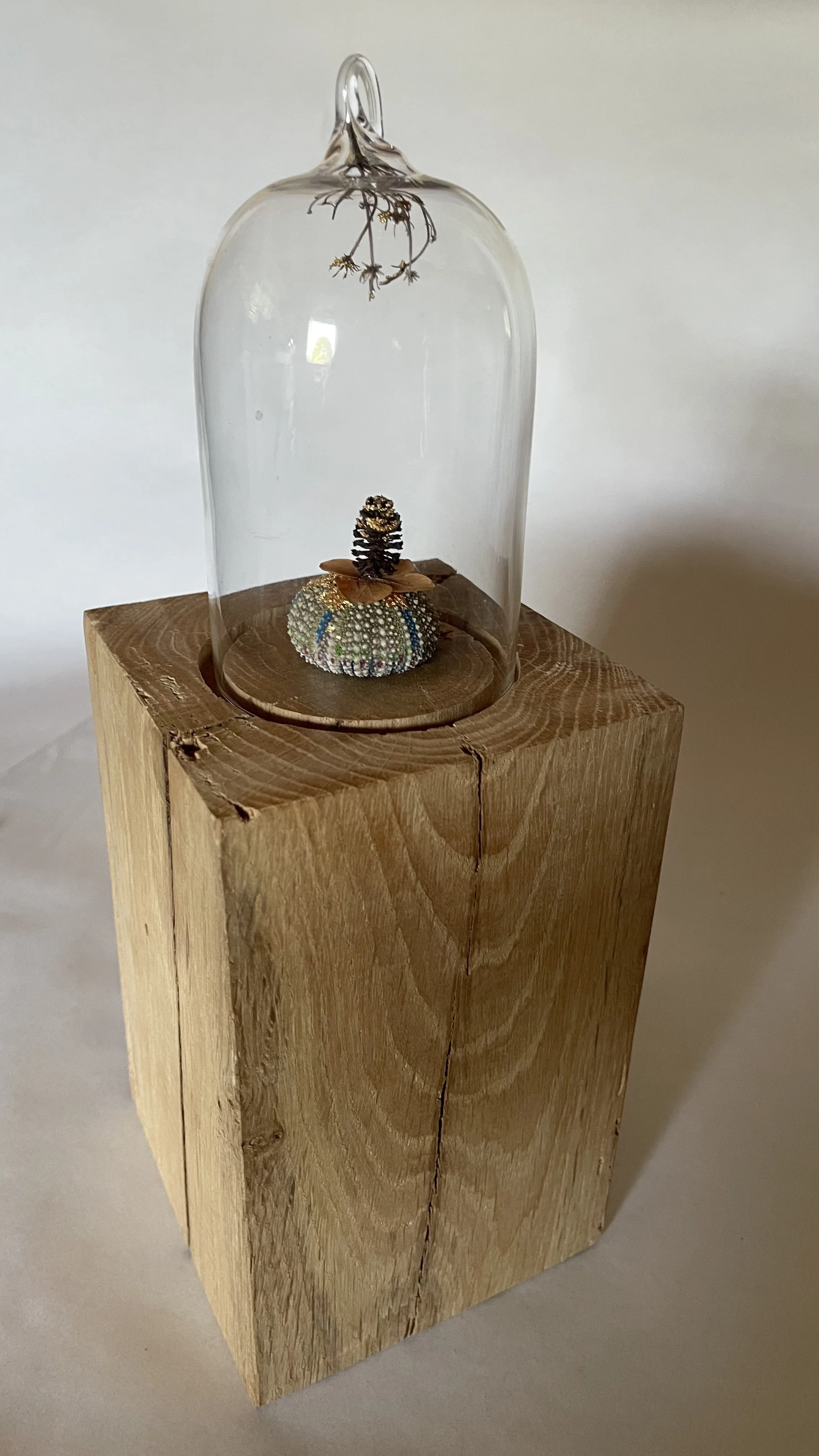 creaturquoise_cloche_oursin_hortensia_charme_or_graminée_socle_chêne.jpg