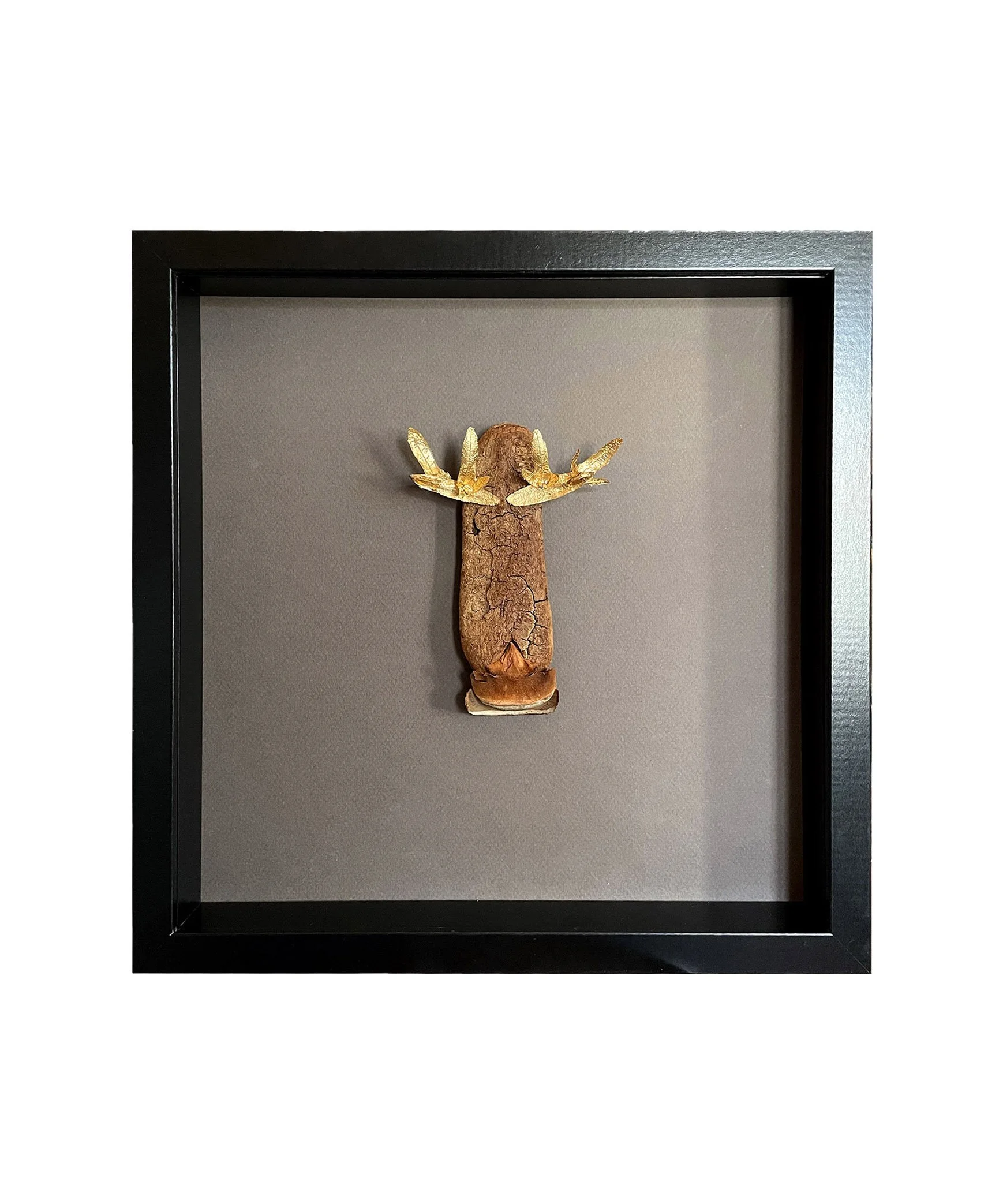 Ramure
2024
(Bois flotté, pétales de charme et tulipier, écaille de pin, encre de chine, or - 32 x 32 cm)