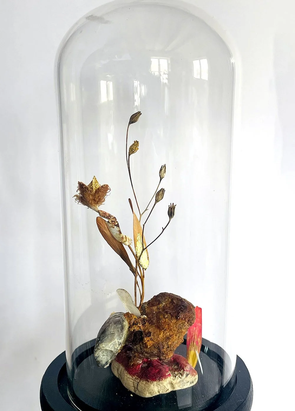 Fleur de mer