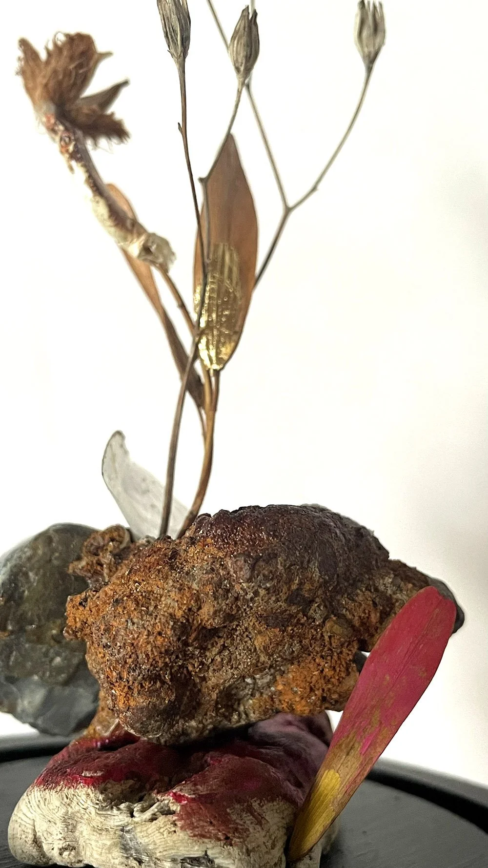 Creaturquoise_fleur_amalgame_graminée_écaille_or_frêne_crabe_bois_flotté.jpg