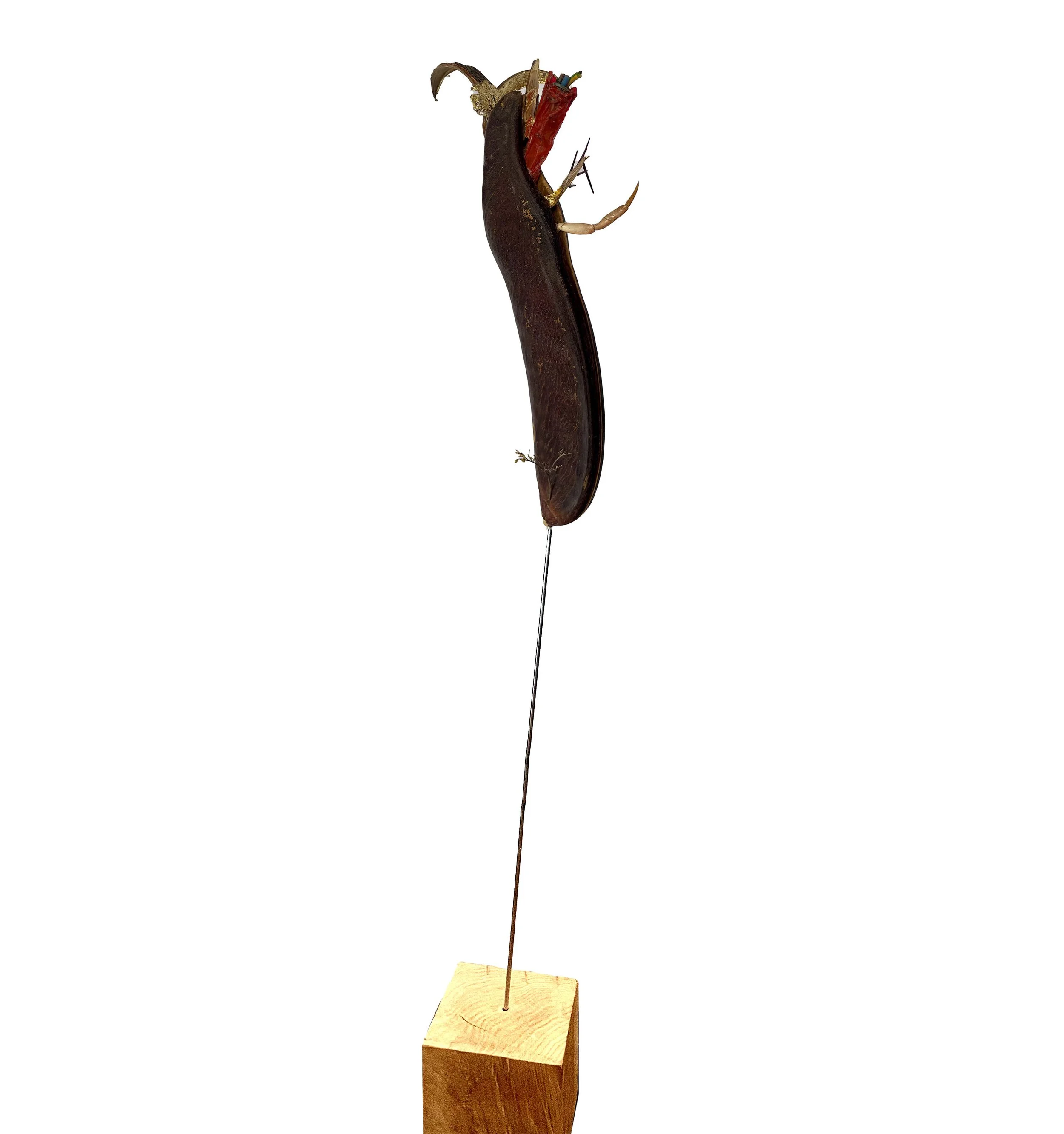 Germination_1_creaturquoise_65x10.jpg